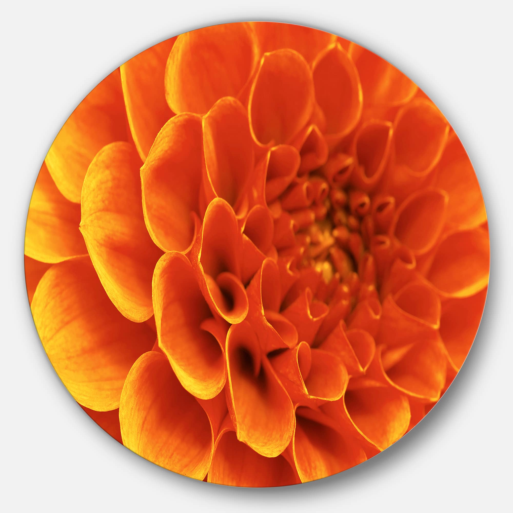 Designart - Large Orange Flower and Petals&#x27; Disc Floral Circle Metal Wall Decor