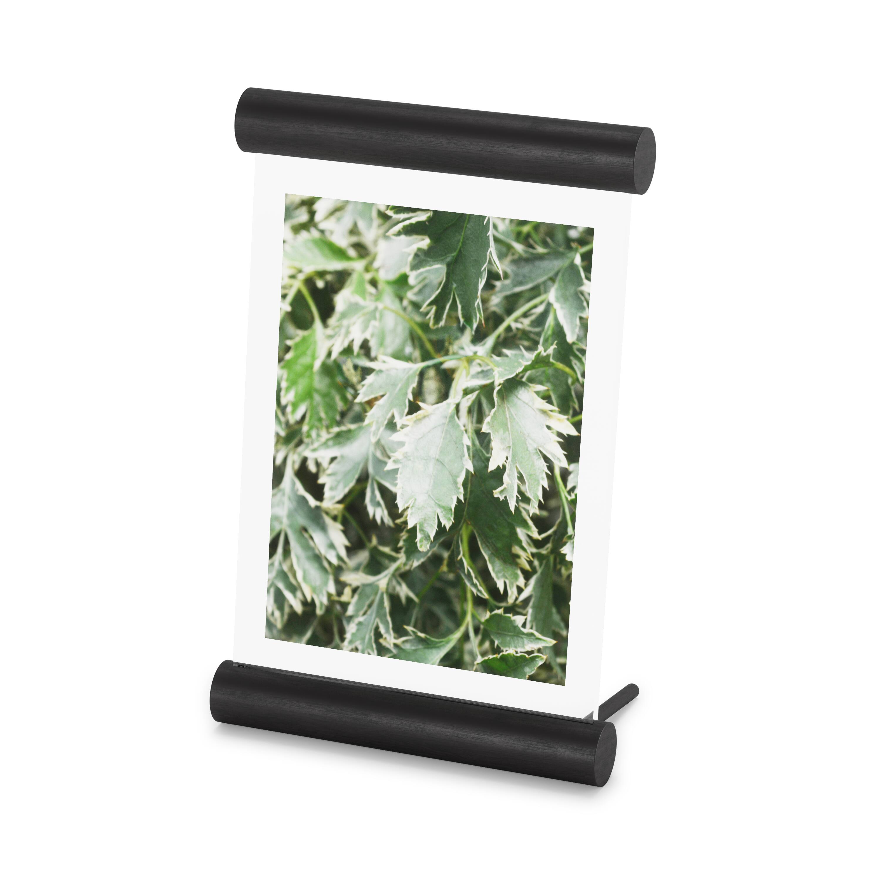 Umbra Scroll 5&#x22; x 7&#x22; Floating Picture Frame