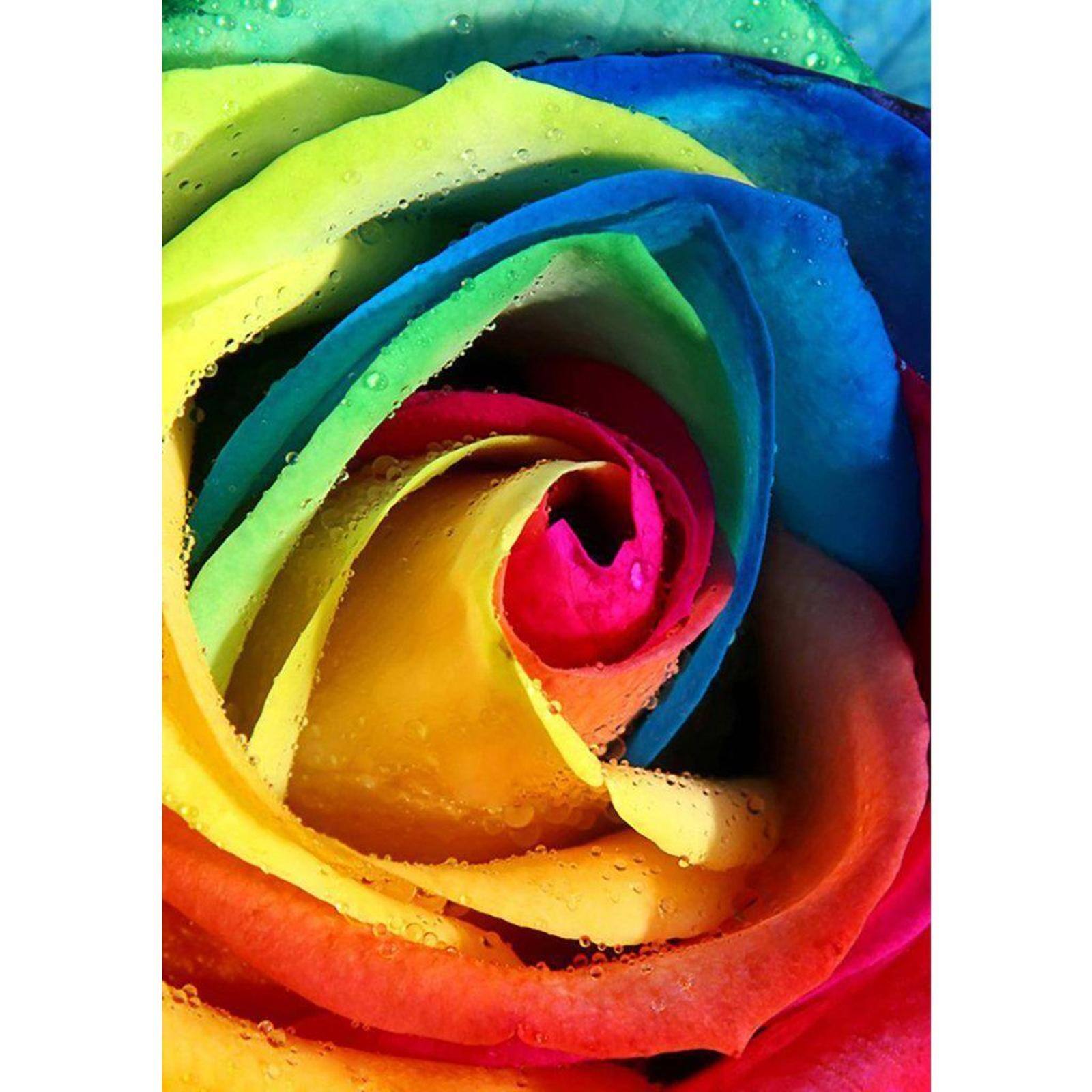 Crafting Spark Diamond Painting Kit Wizardi Rainbow Rose