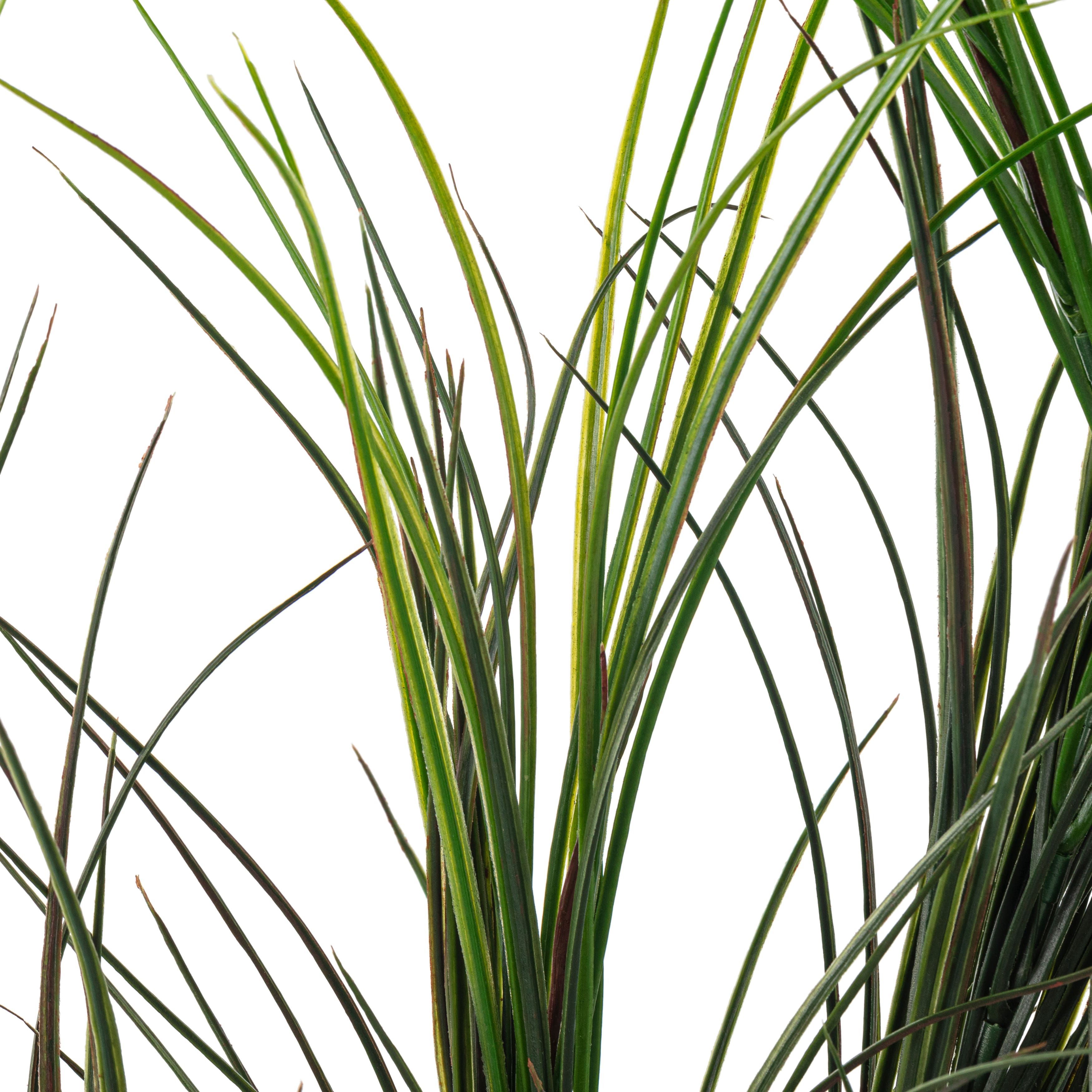 12 Pack: Assorted Green Grass Bush by Ashland&#xAE;