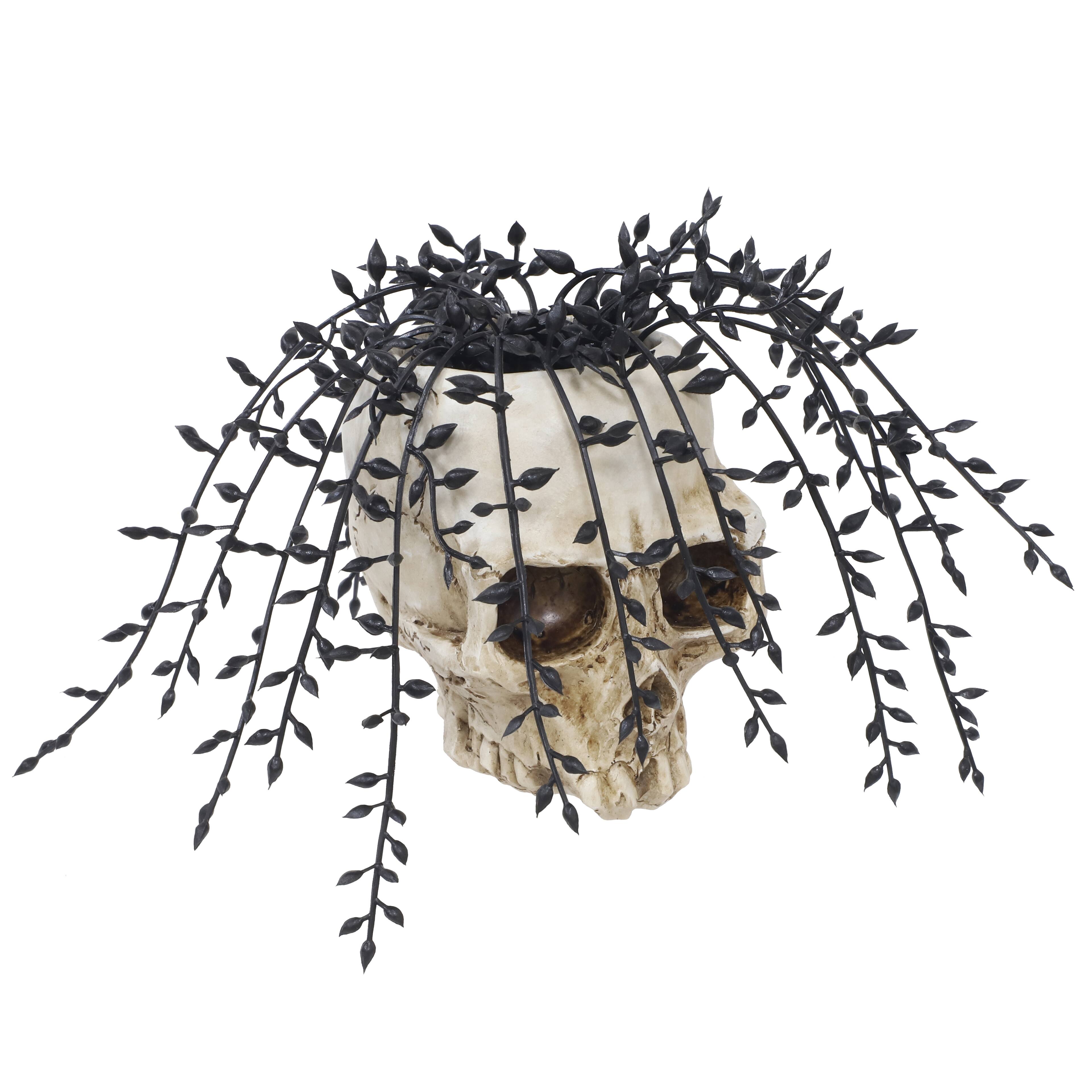 5" Potted String of Pearls in Skull by Ashland®