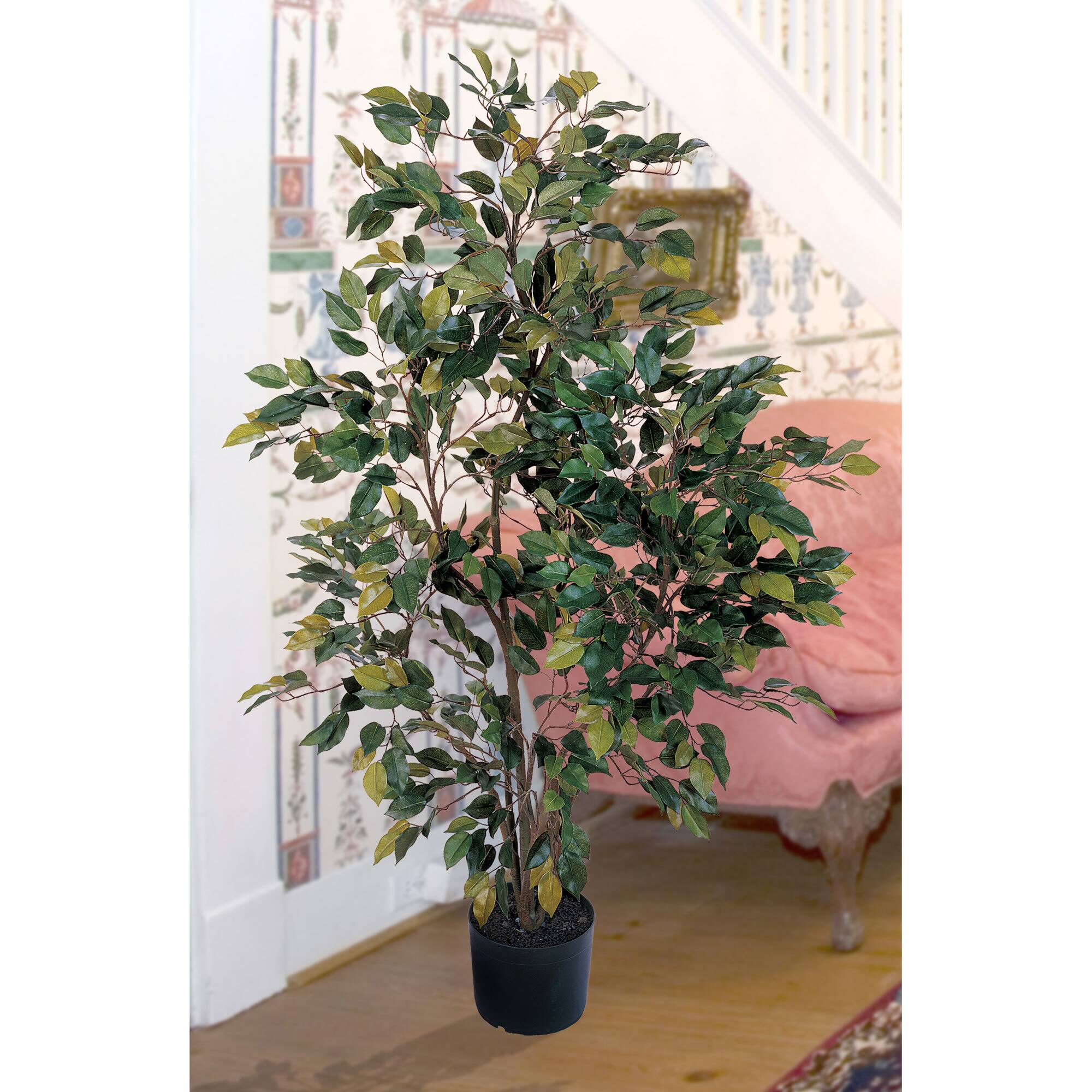 4ft. Potted Ficus Tree Michaels