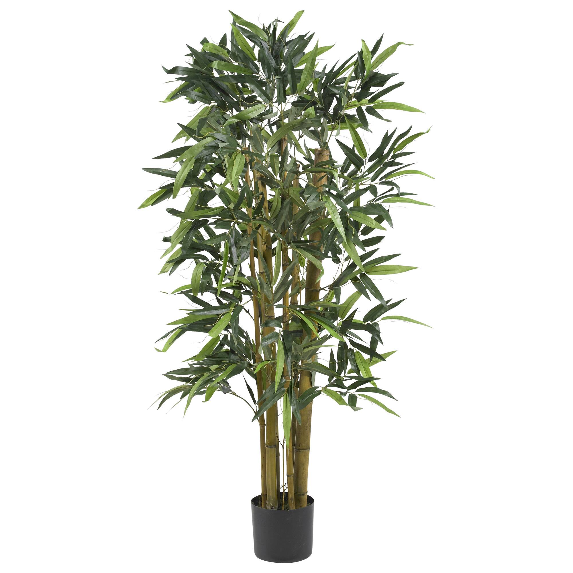 4ft. Potted Biggy Bamboo Tree | Trees & Floor Plants | Michaels