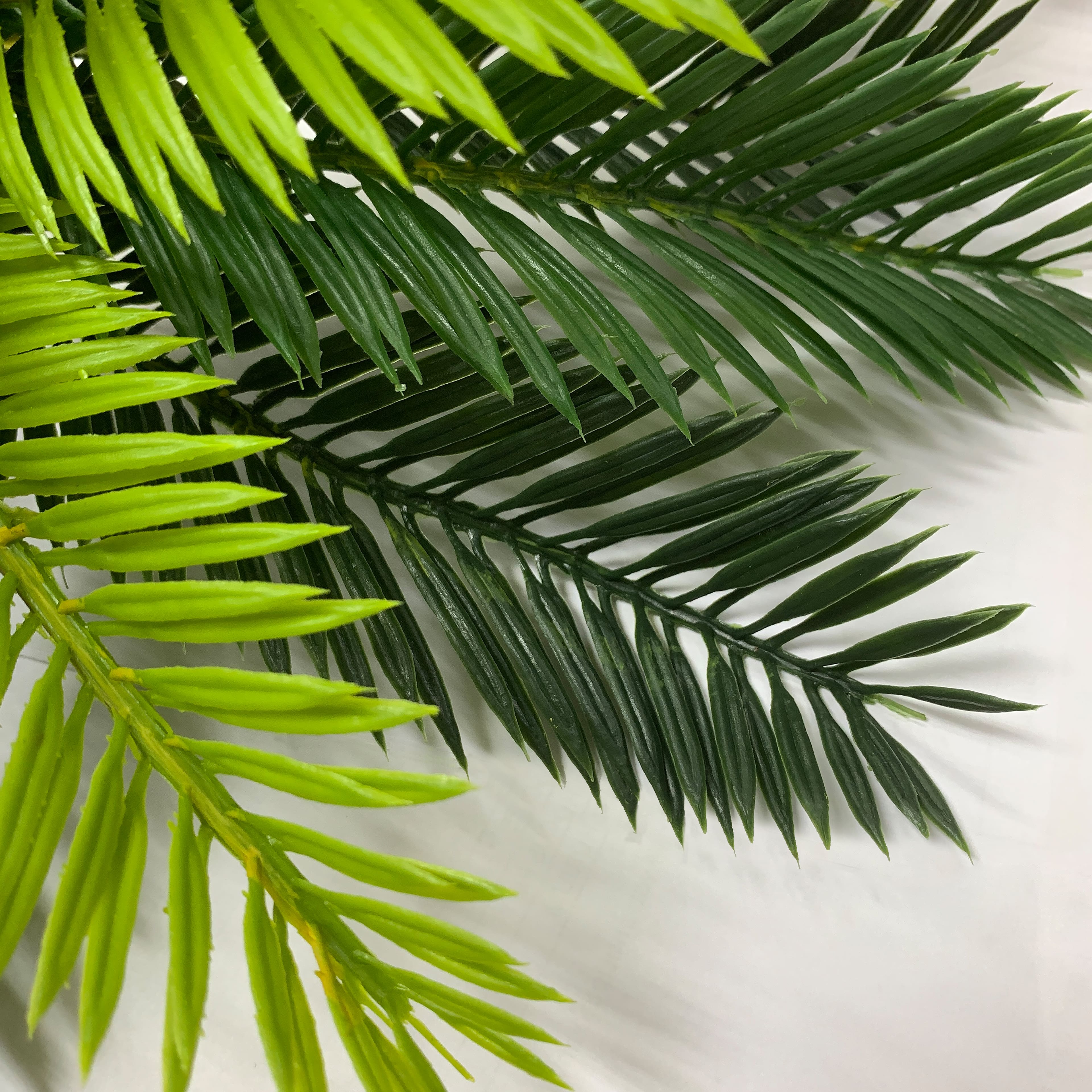 Green Cycas Palm Bush by Ashland&#xAE;