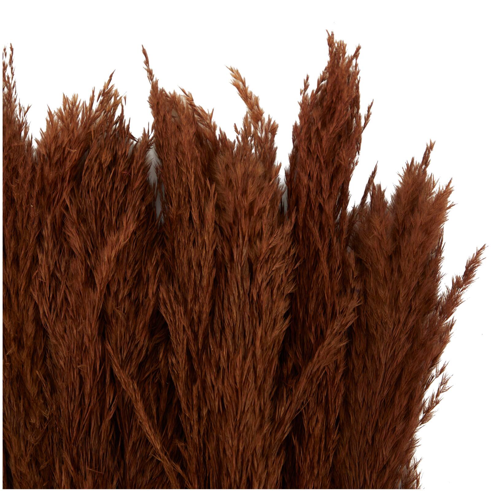 Dried Plant Pampas Natural Foliage with Long Stems