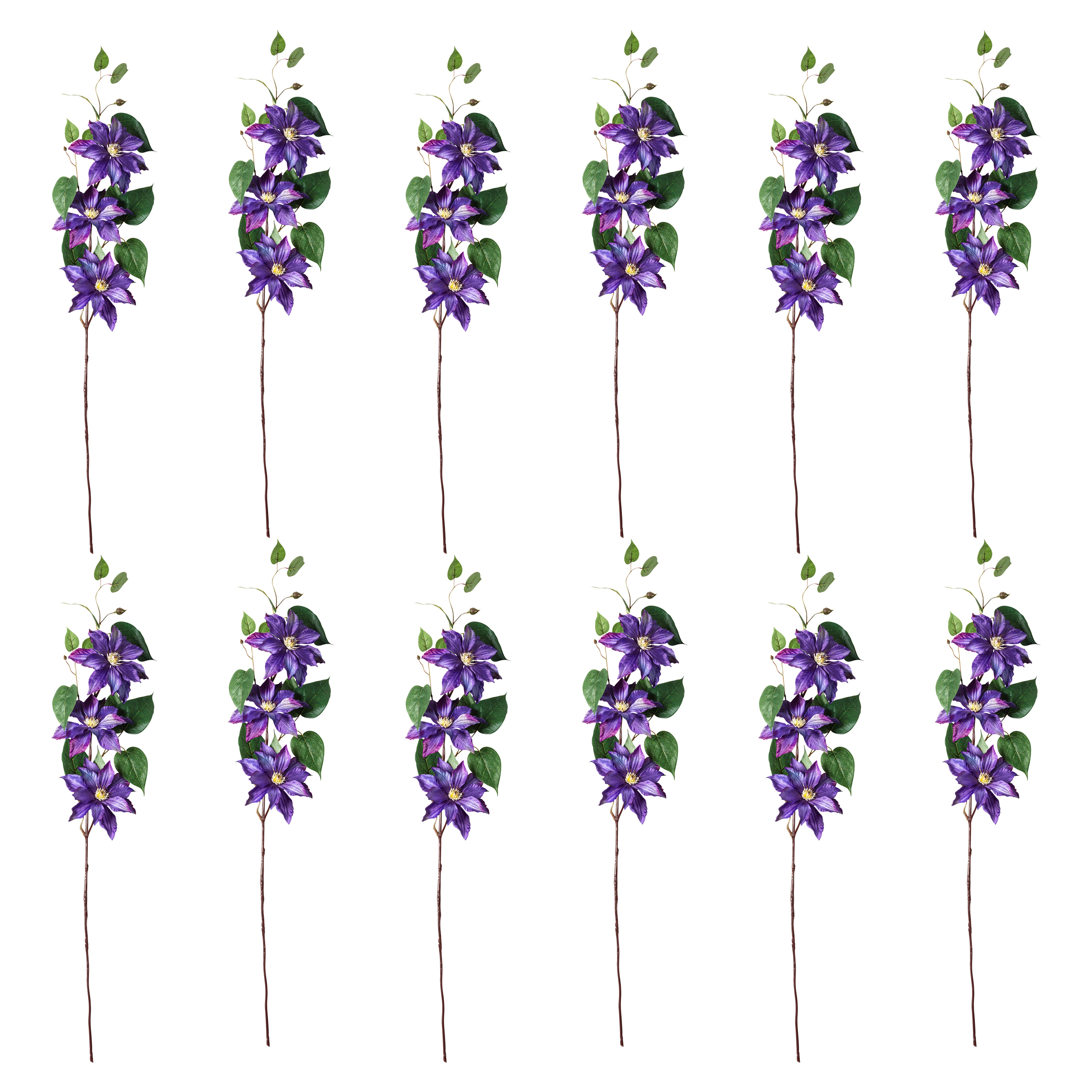 12 Pack: Purple Clematis Stem by Ashland®