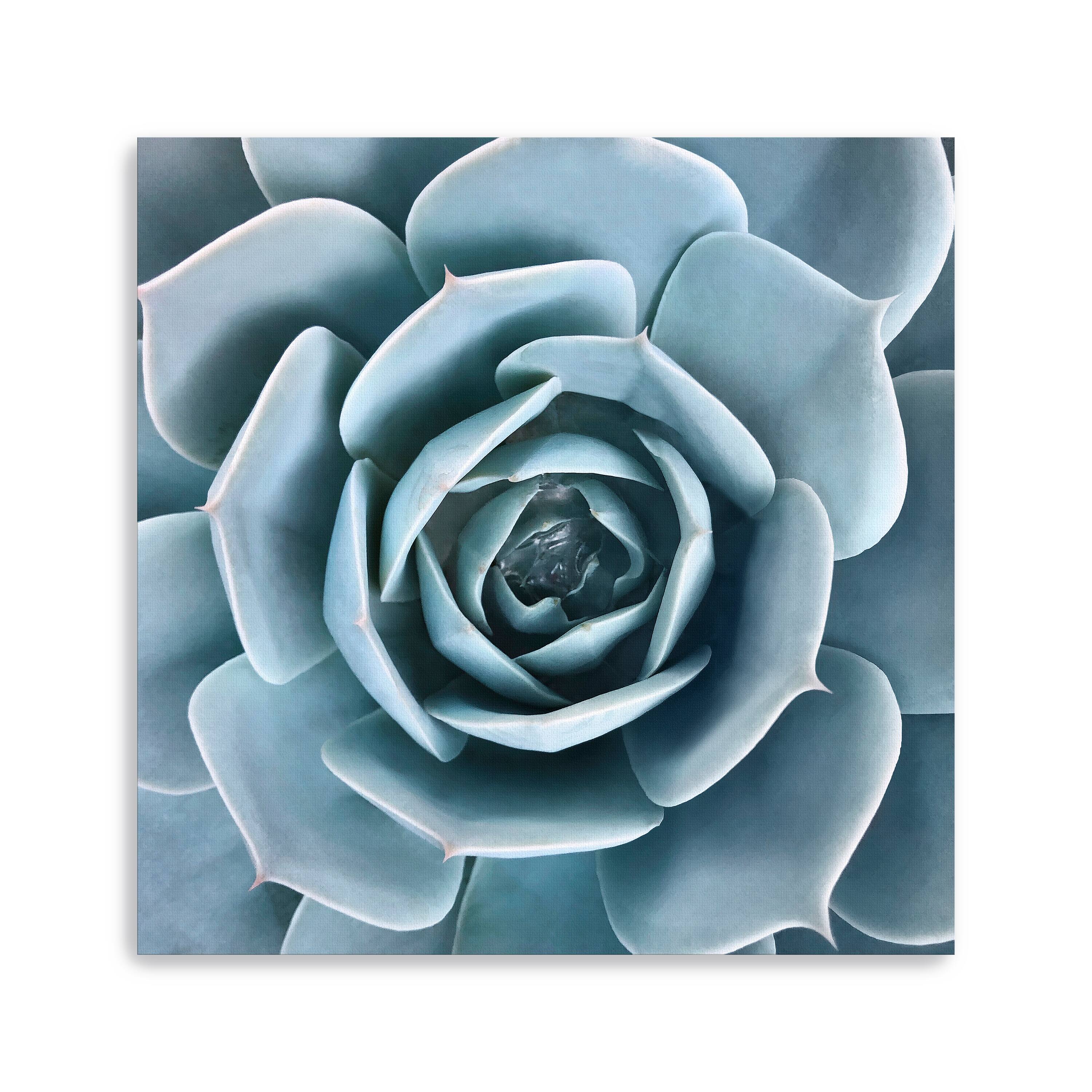 Lumaprints After the Rain Canvas Giclée Wall Art