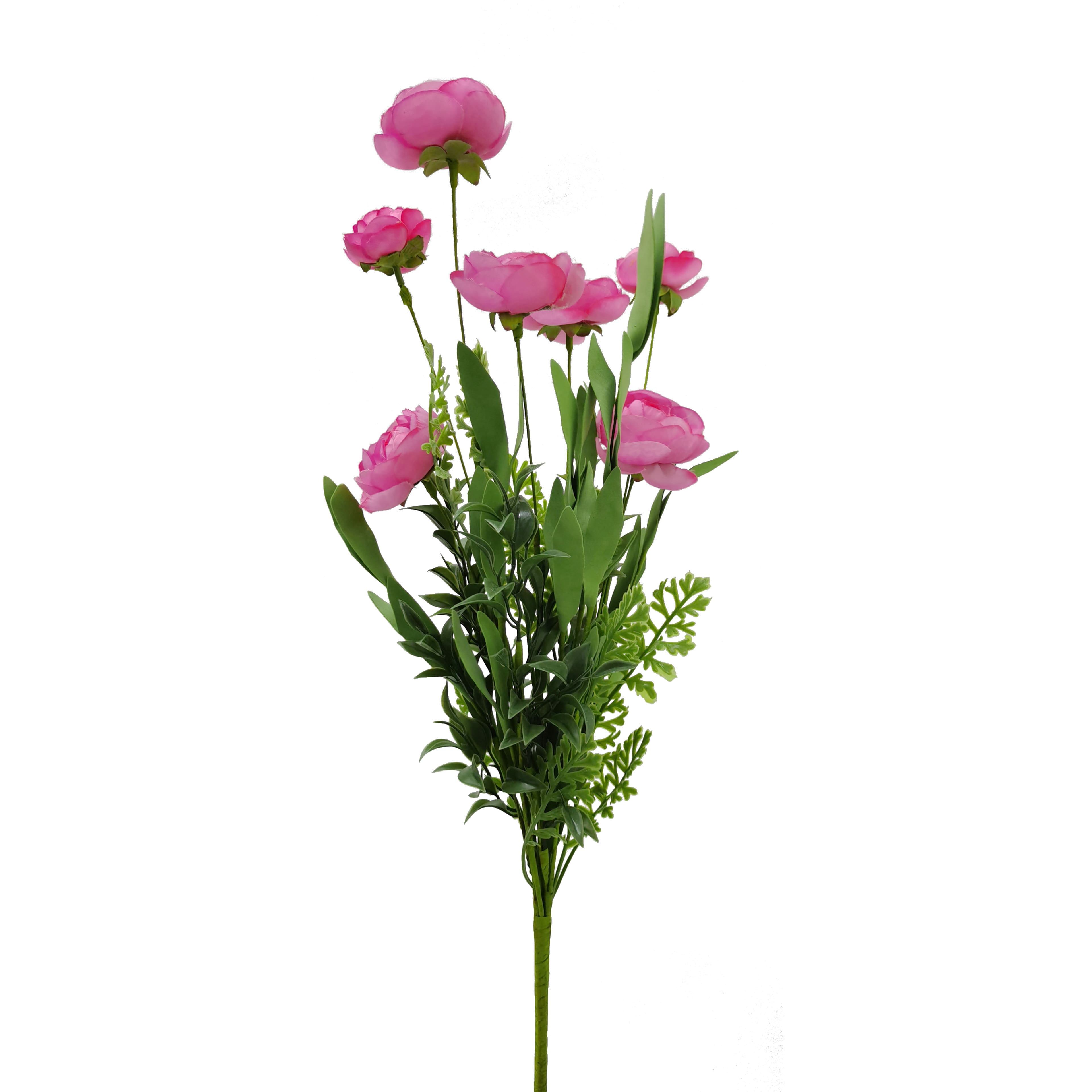 Pink Ranunculus Bush 22