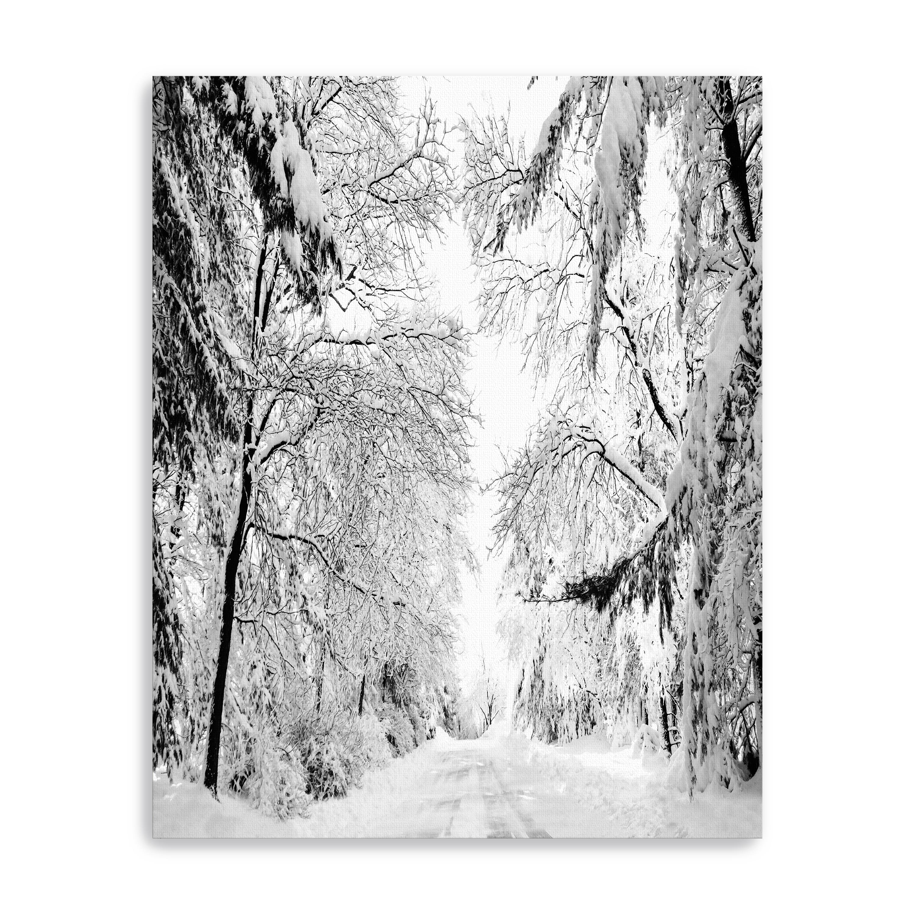 Wintery Dreams Path Canvas Giclee