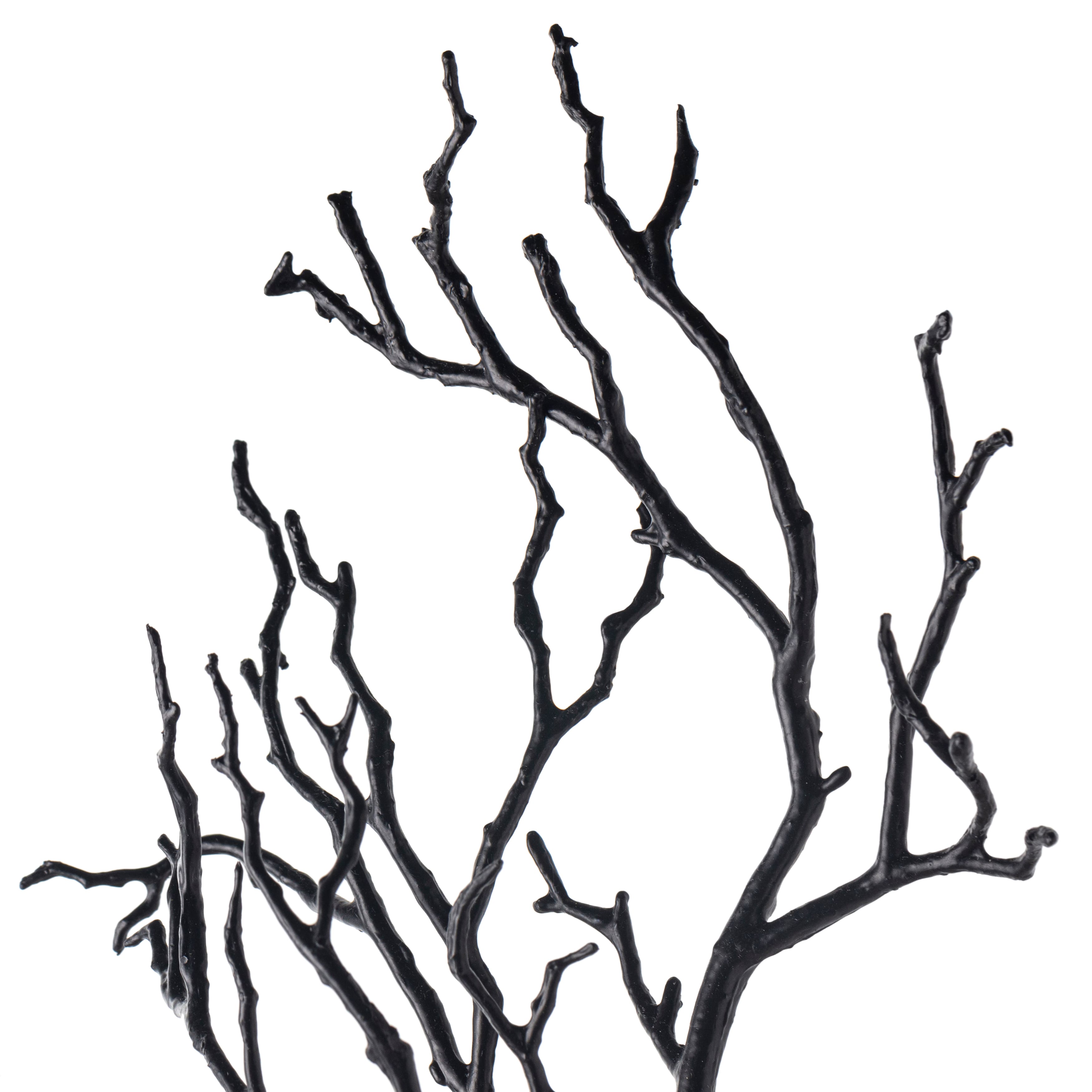 Black Bare Branch Stem by Ashland®