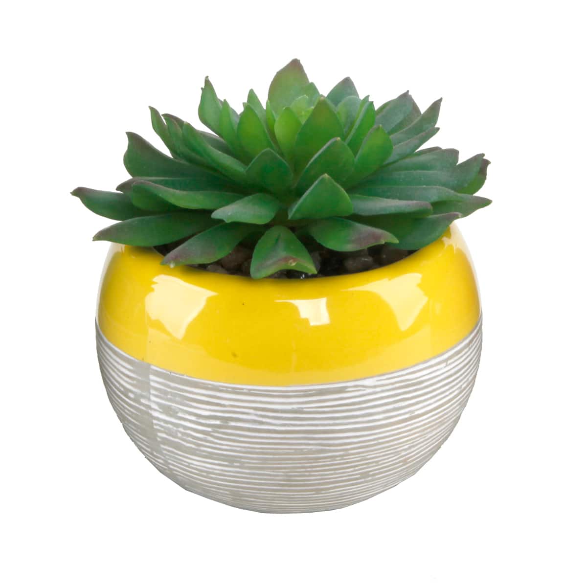 Flora Bunda® Succulent In Two Tone Pattern Yellow Ceramic Pot