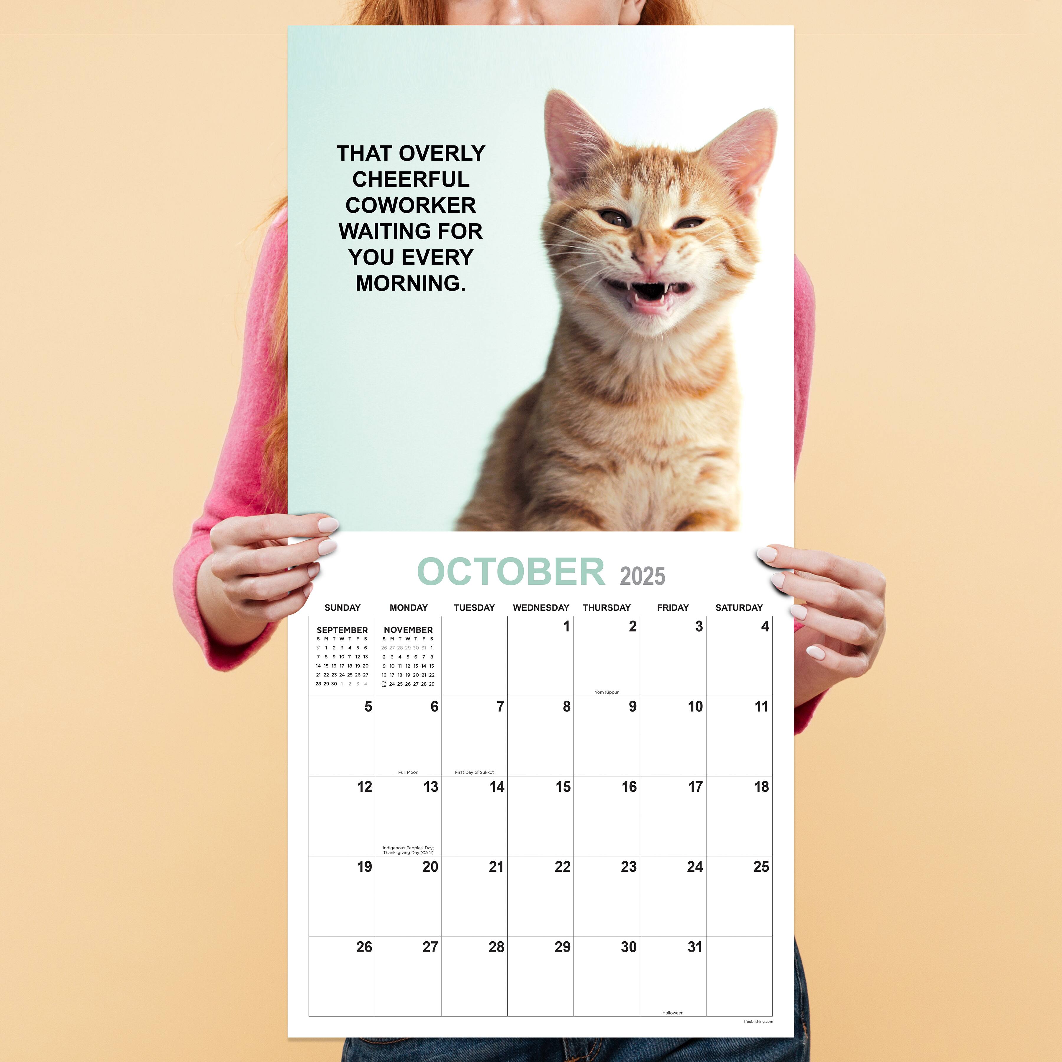 TF Publishing 2025 Cat Dreams Wall Calendar - 12x12 Monthly Planner