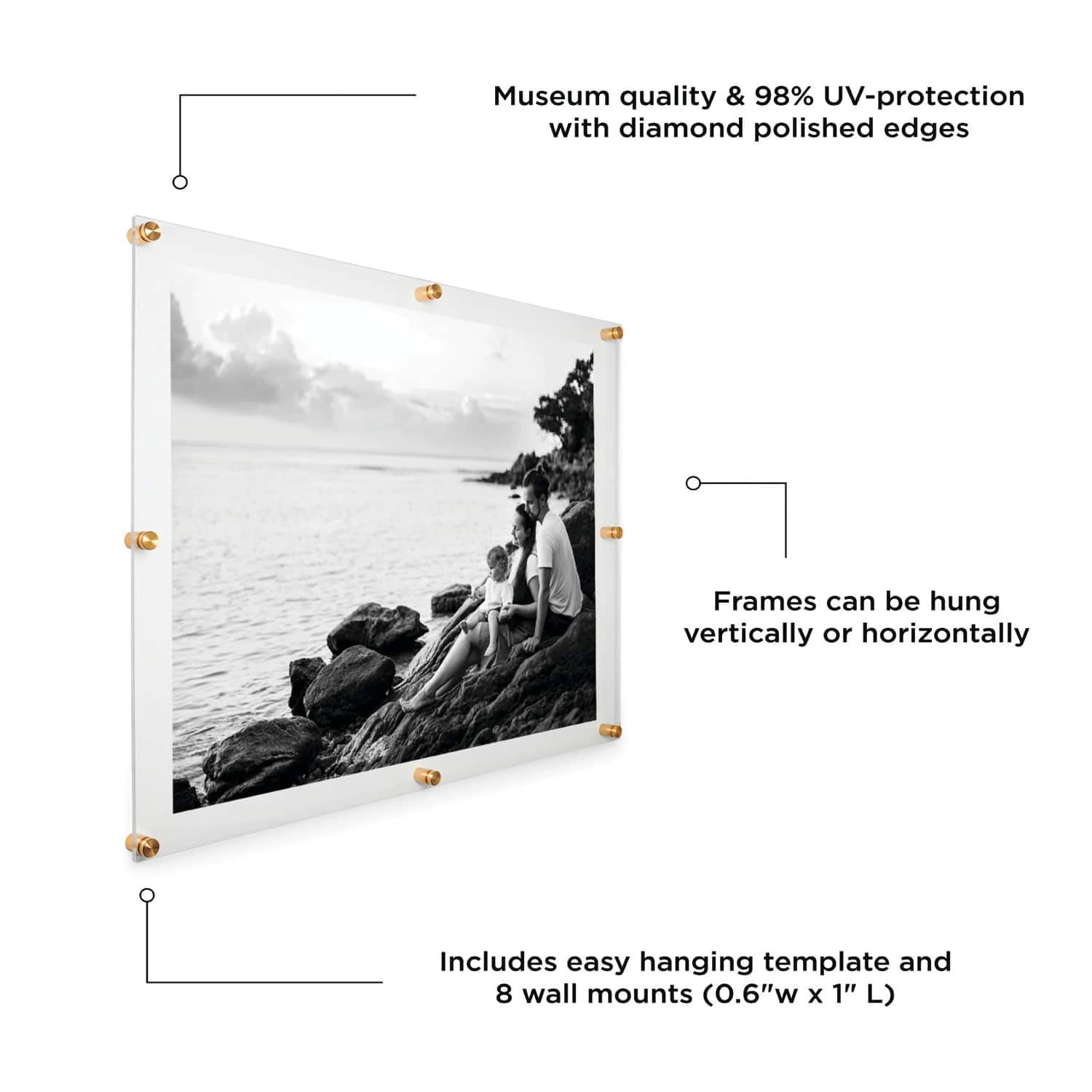 Wexel Art Double Panel Clear Acrylic Floating Wall Frame with Gold Hardware