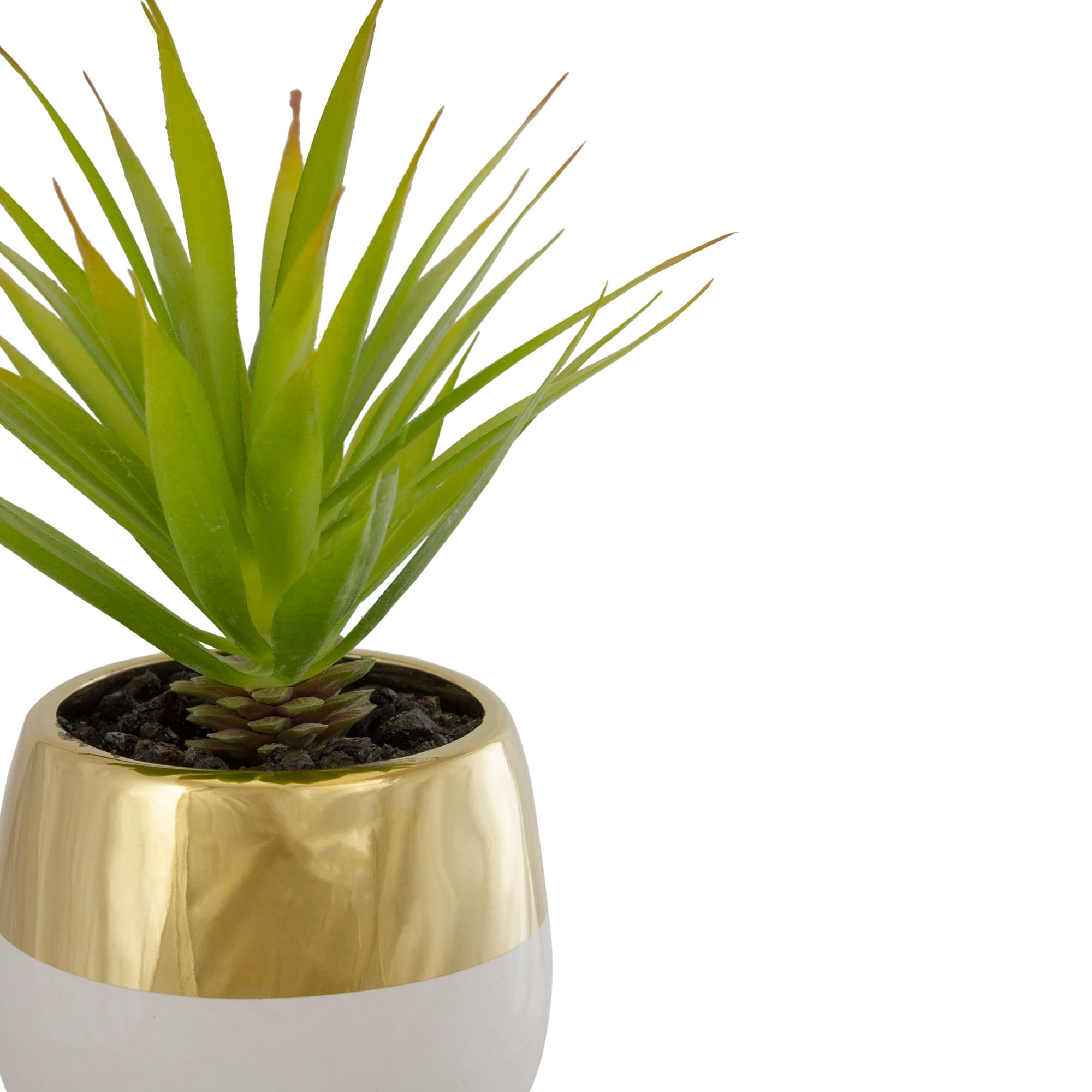 7" Potted Green Sword Grass Plant