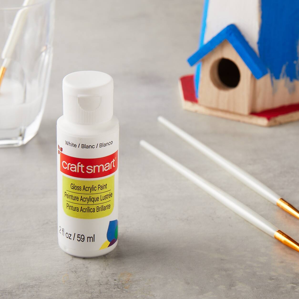 12 Pack: Gloss Acrylic Paint by Craft Smart®, 2oz.