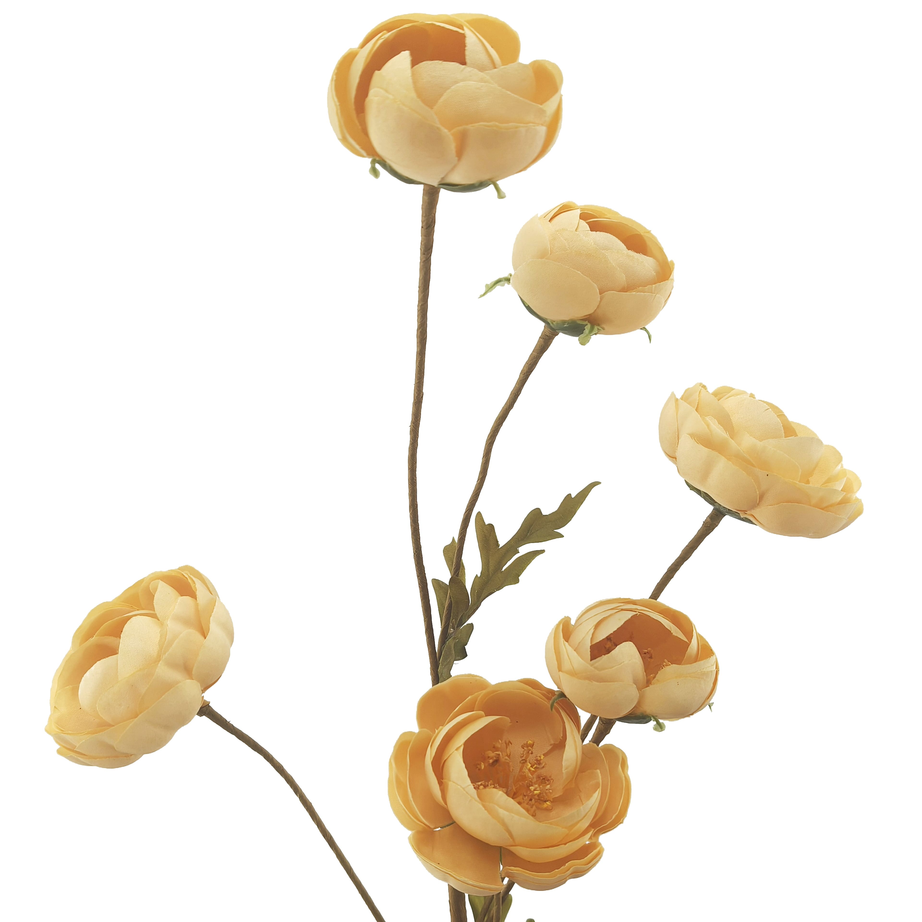 32&#x22; Ranunculus Stem by Ashland&#xAE;