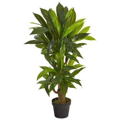 3ft. Potted Corn Stalk Plant | Michaels