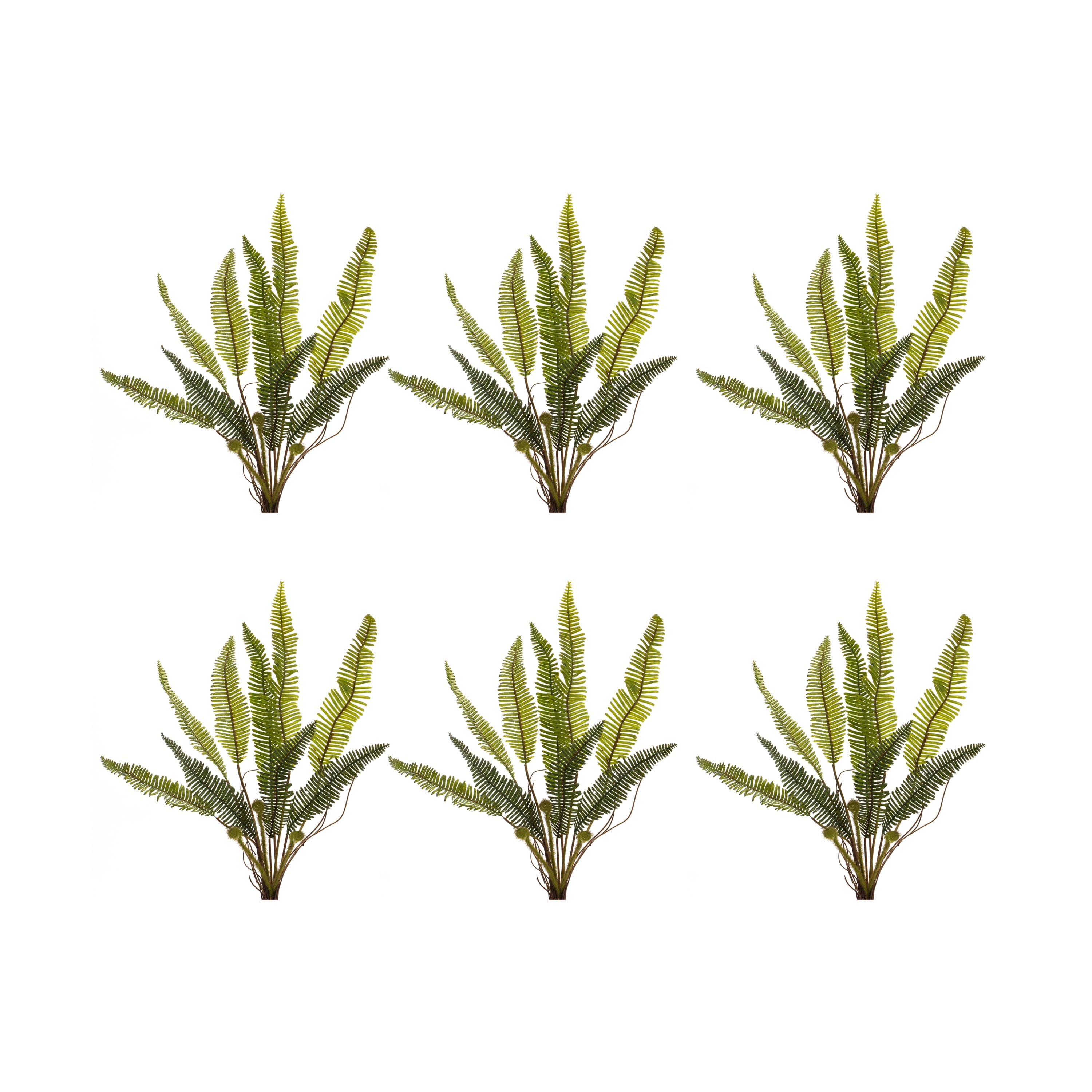 17.5" Varigated Fern Foliage Bushes, 6ct.