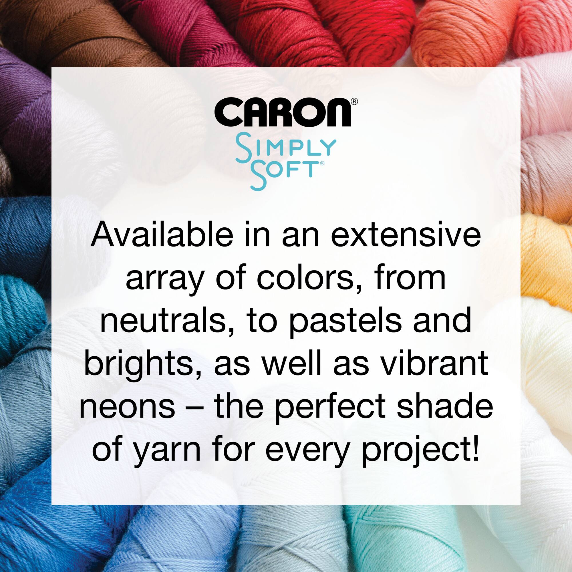 Multipack Caron® Simply Soft® Solid Yarn
