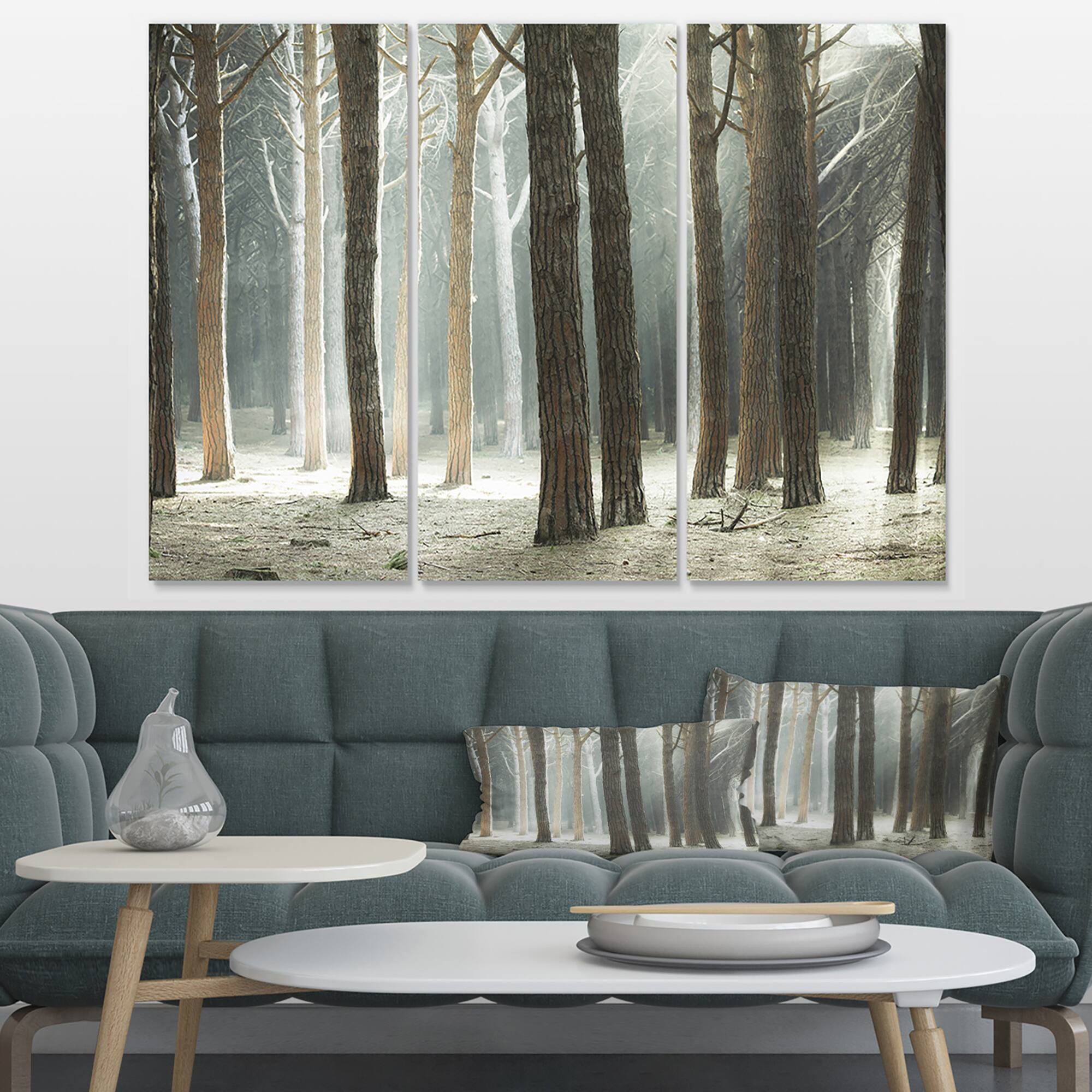 Designart - Maritime Pine Tree Forest with Rays - Oversized Forest Canvas Art