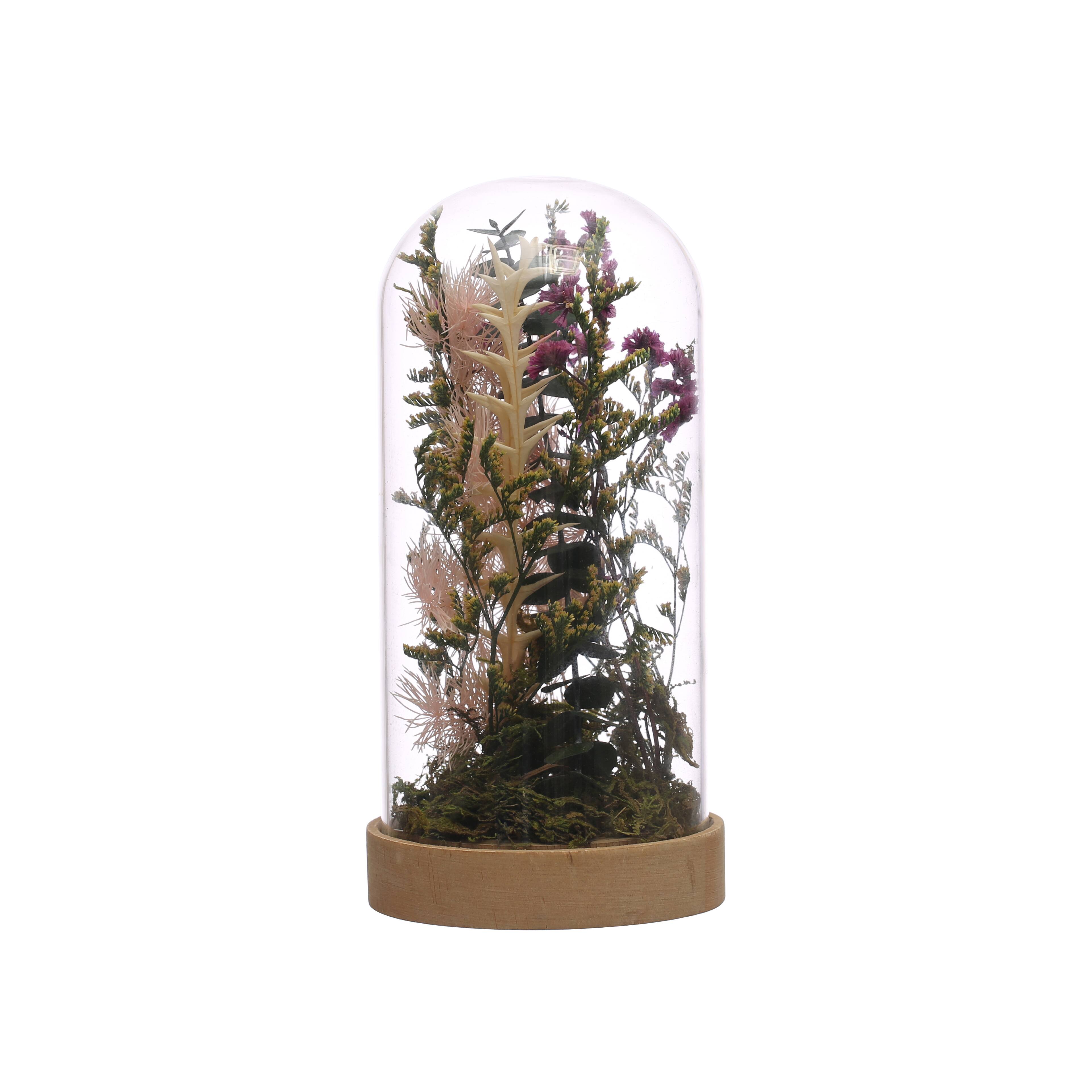 7&#x22; Dried Floral in Glass Dome Tabletop Accent by Ashland&#xAE;