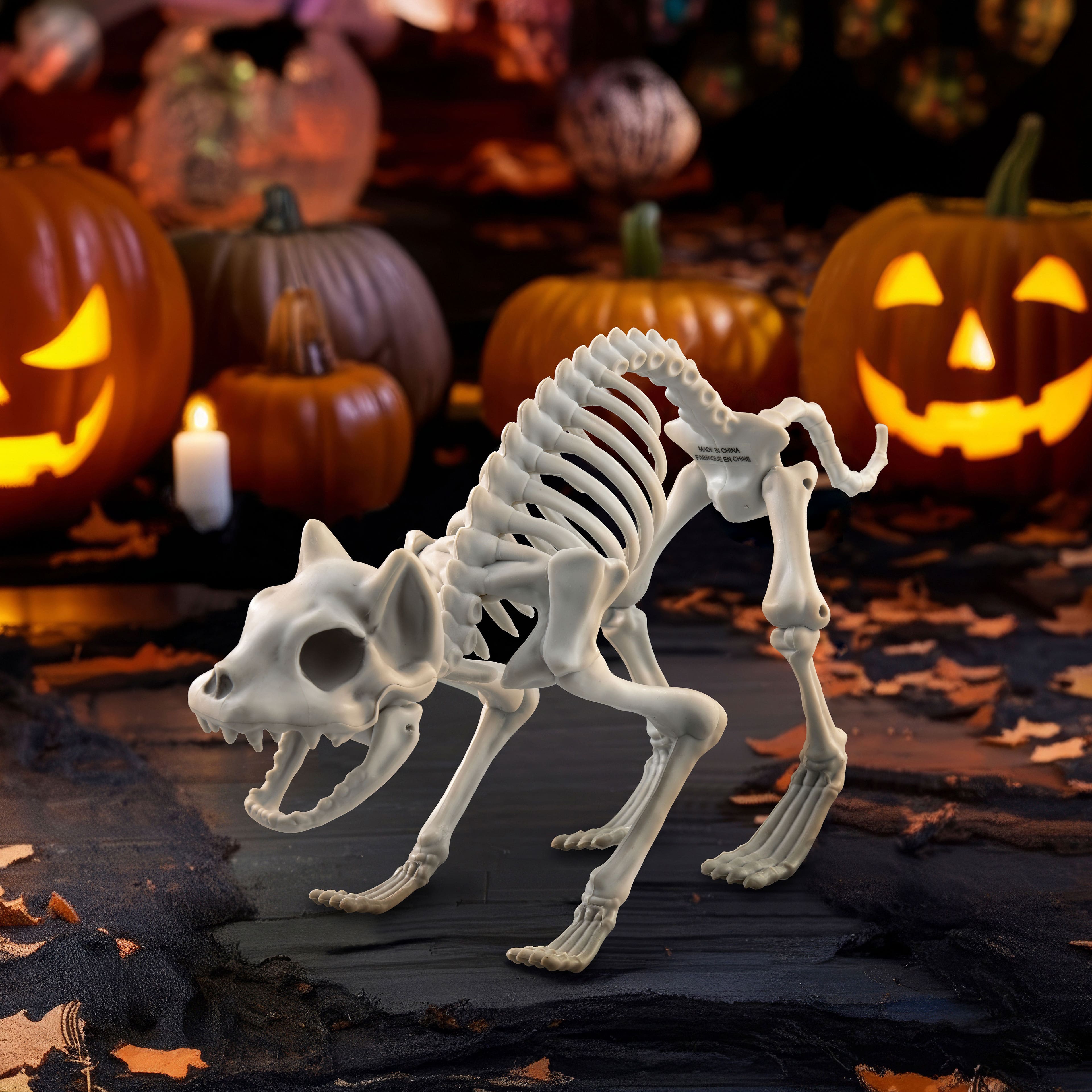11&#x22; Cat Skeleton by Ashland&#xAE;