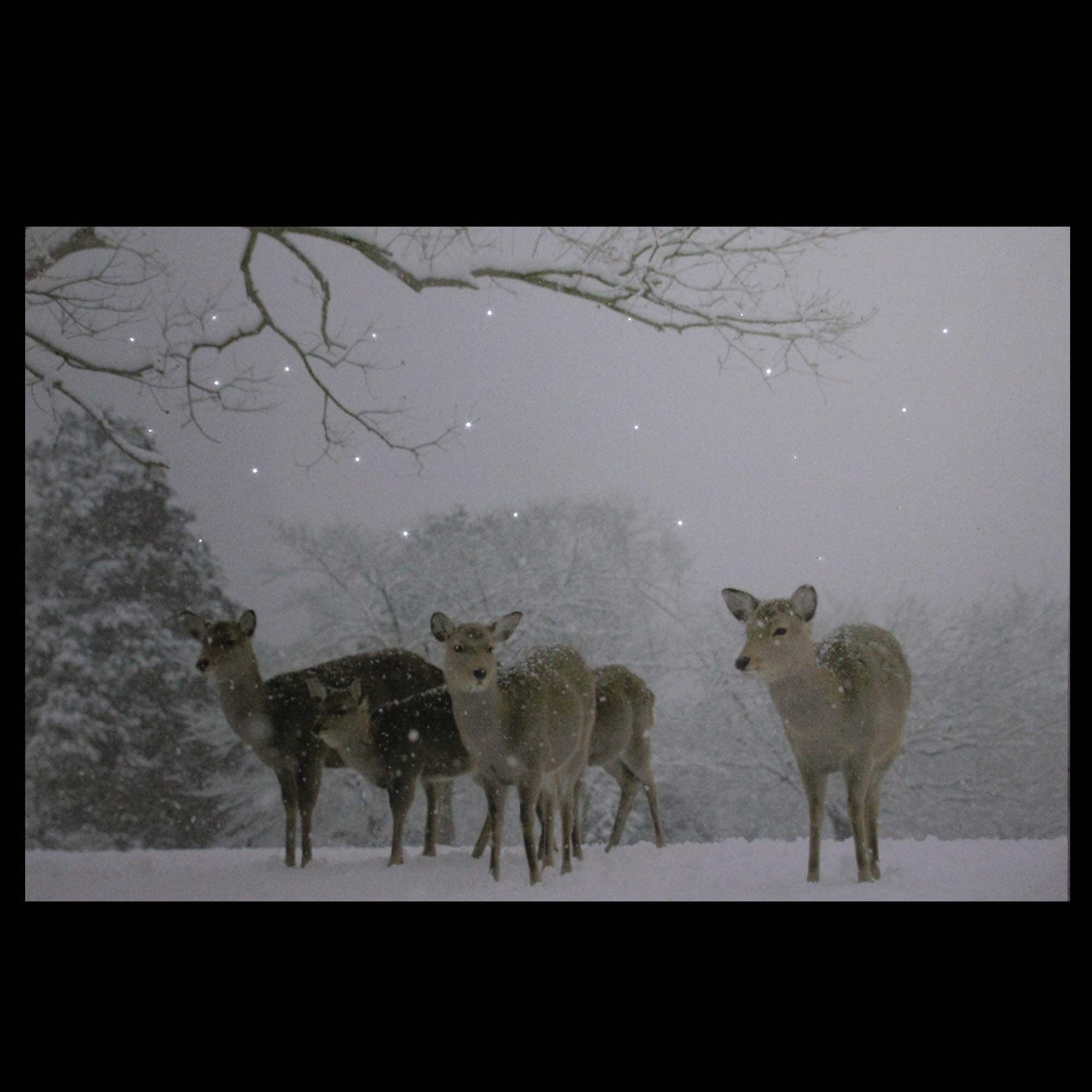 Winter Woods Deer Fiber Optic Lighted Canvas Wall Art