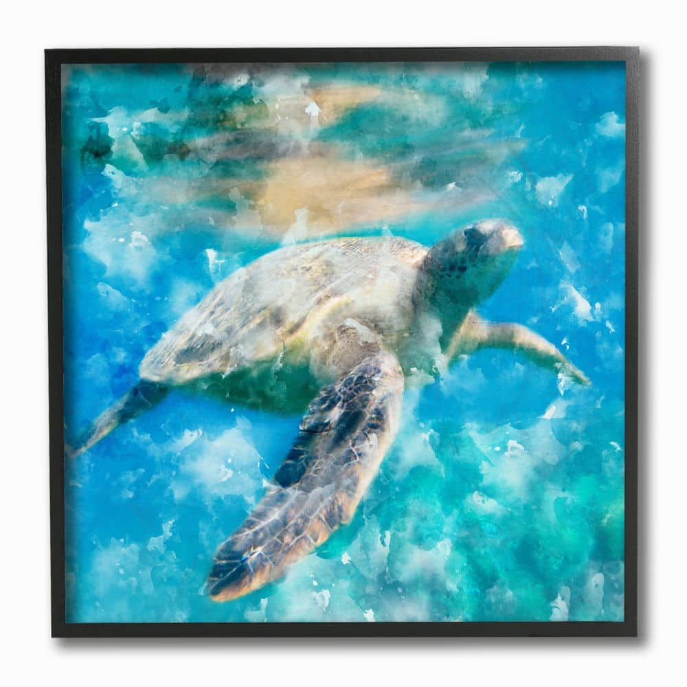 Stupell Industries Swimming Sea Turtle Aquatic Reptile Design Black Framed Wall Art