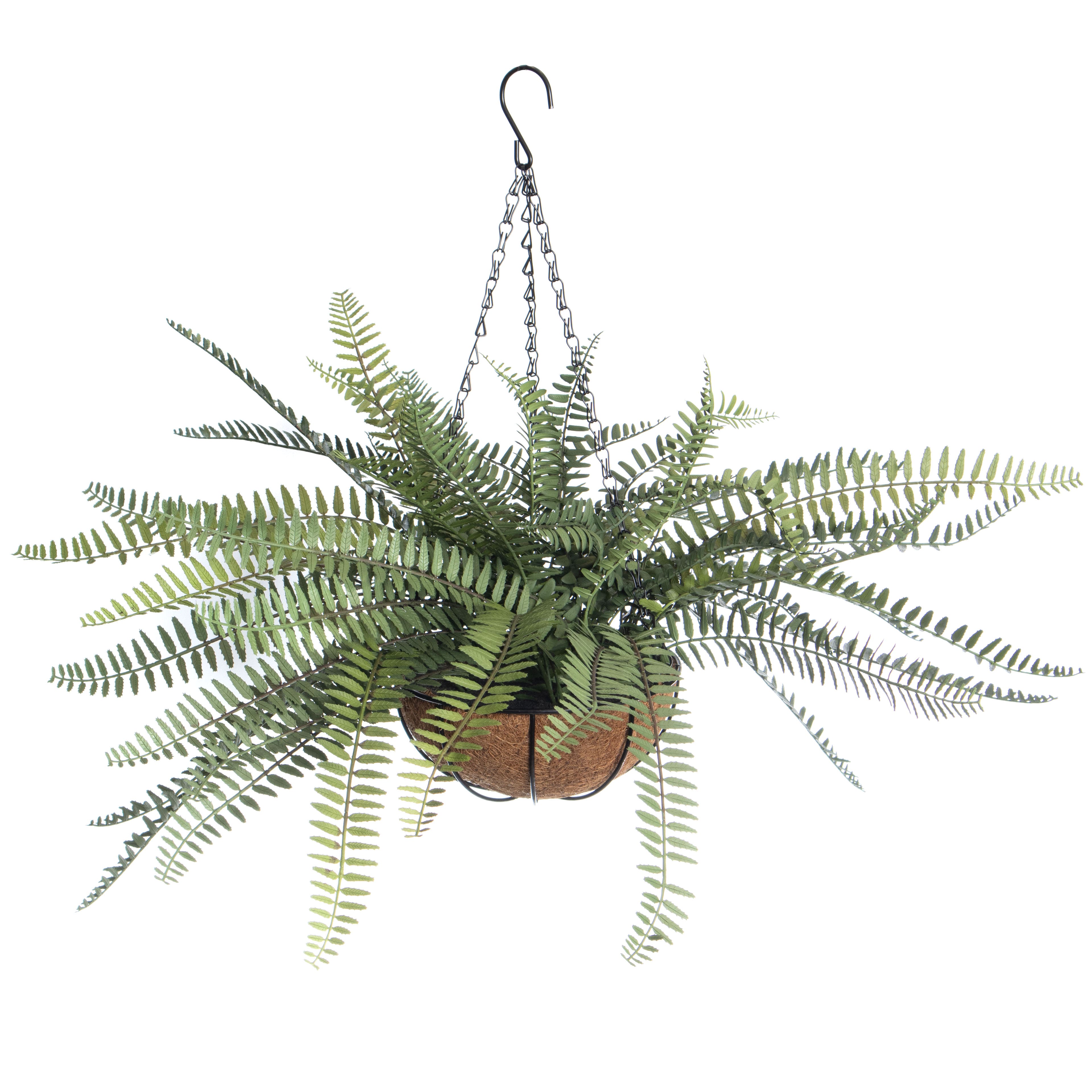 18&#x22; Hanging Basket Fern by Ashland&#xAE;