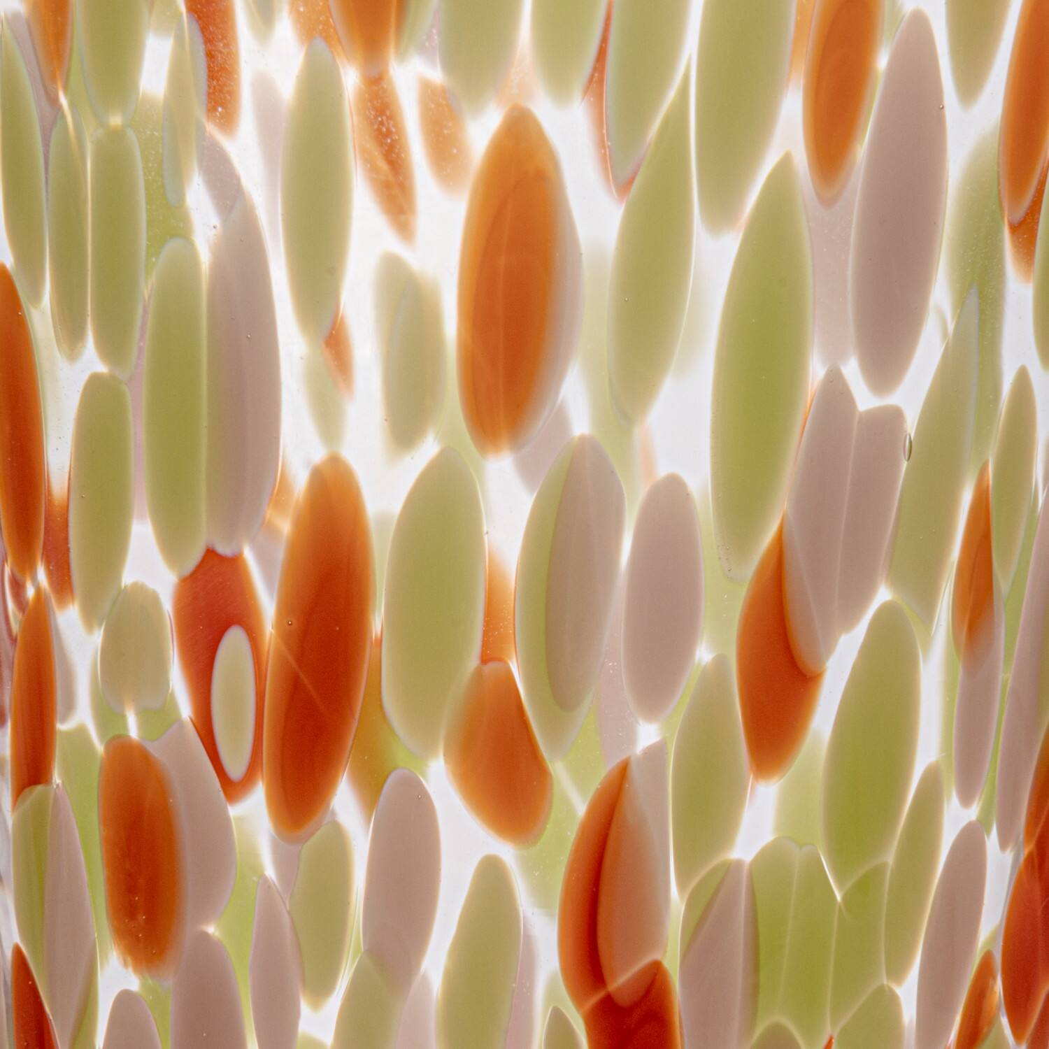 Hello Honey® Round Varied Multicolor Drinking Glass Set