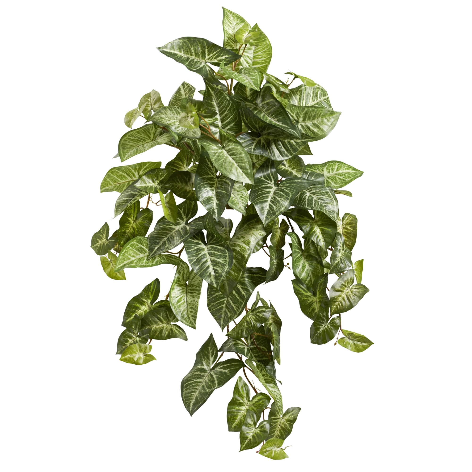 Green Arrowhead Hanging Plant, 3ct.