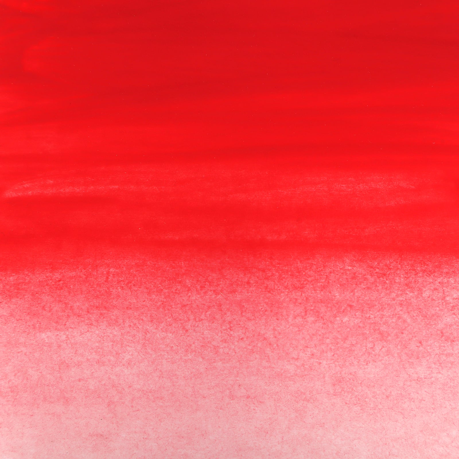 12 Pack: Watercolor Paint by Artist's Loft™, 0.4oz.