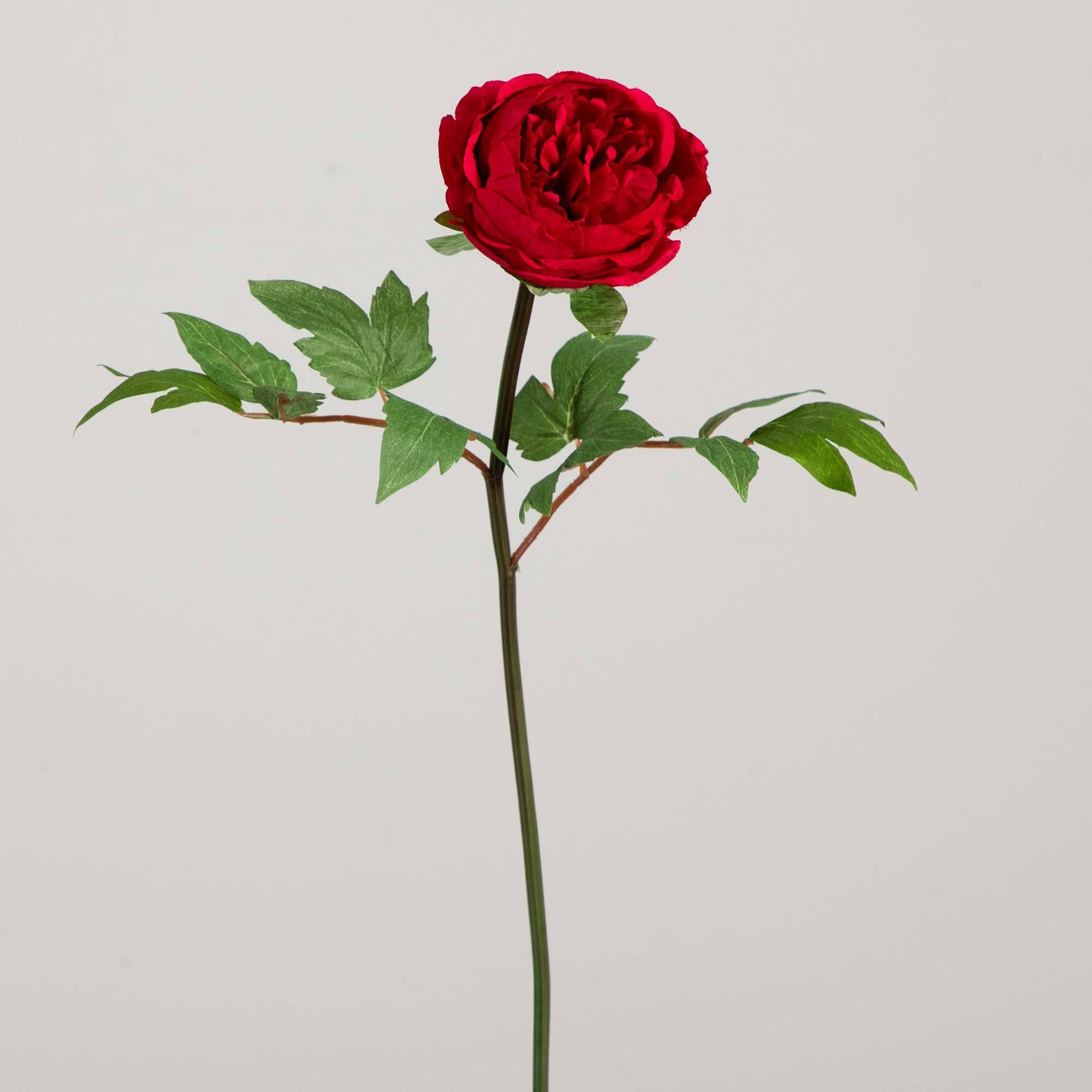 20&#x22; Red Peony Flower Stems, 3ct.