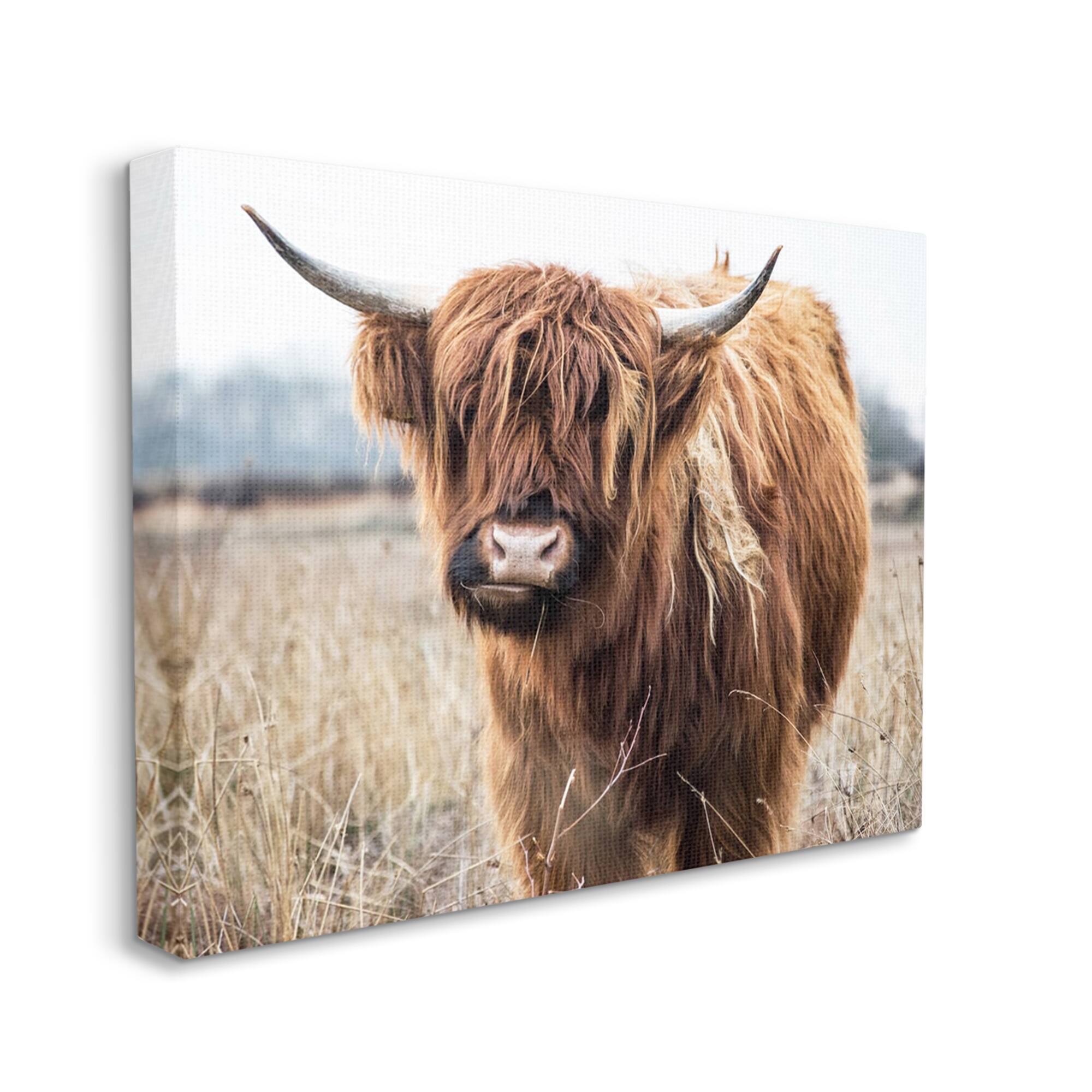 Stupell Industries Grazing Longhorn Cattle Farmland Animal Portrait Canvas Wall Art