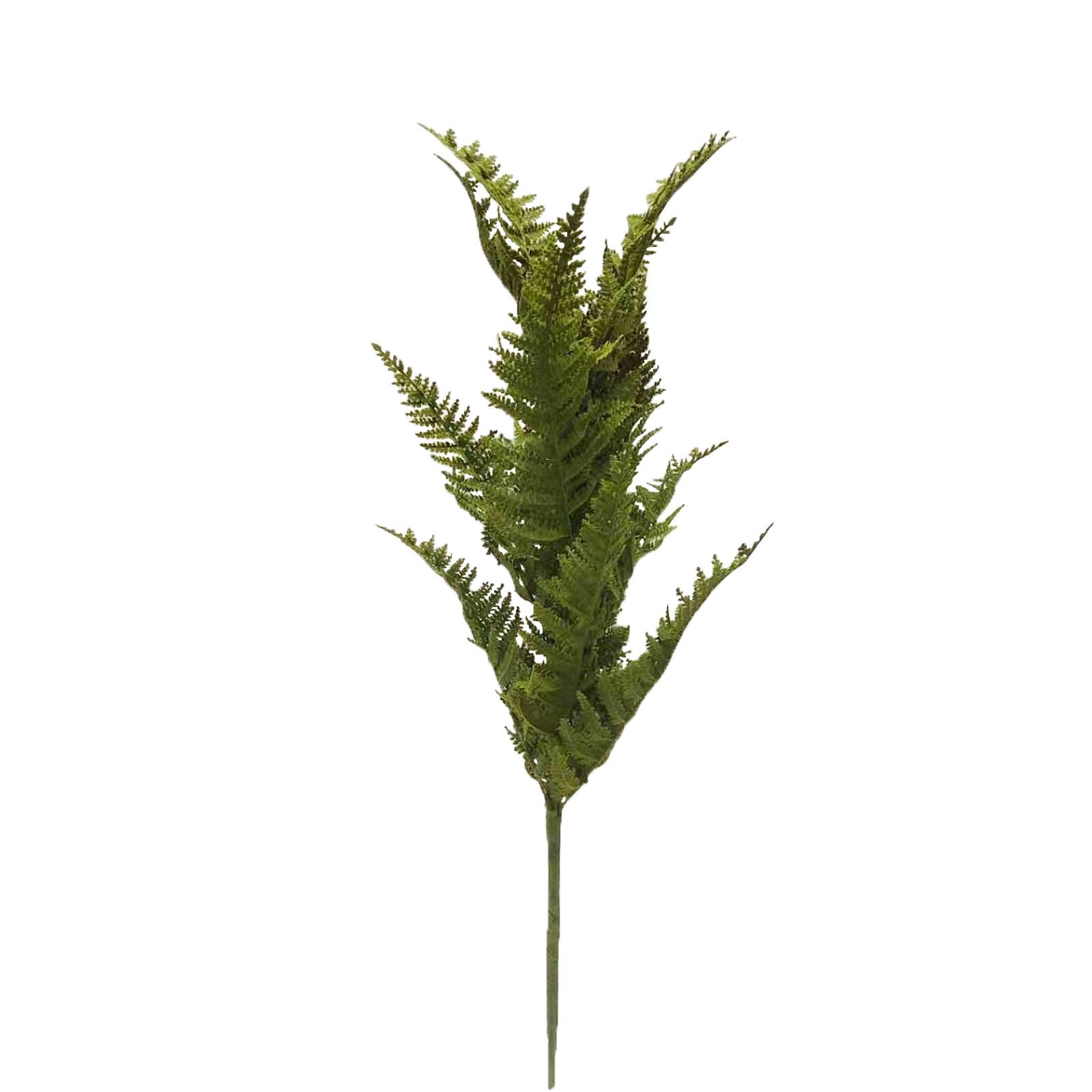 Green Moss Fern Stem by Ashland&#xAE;