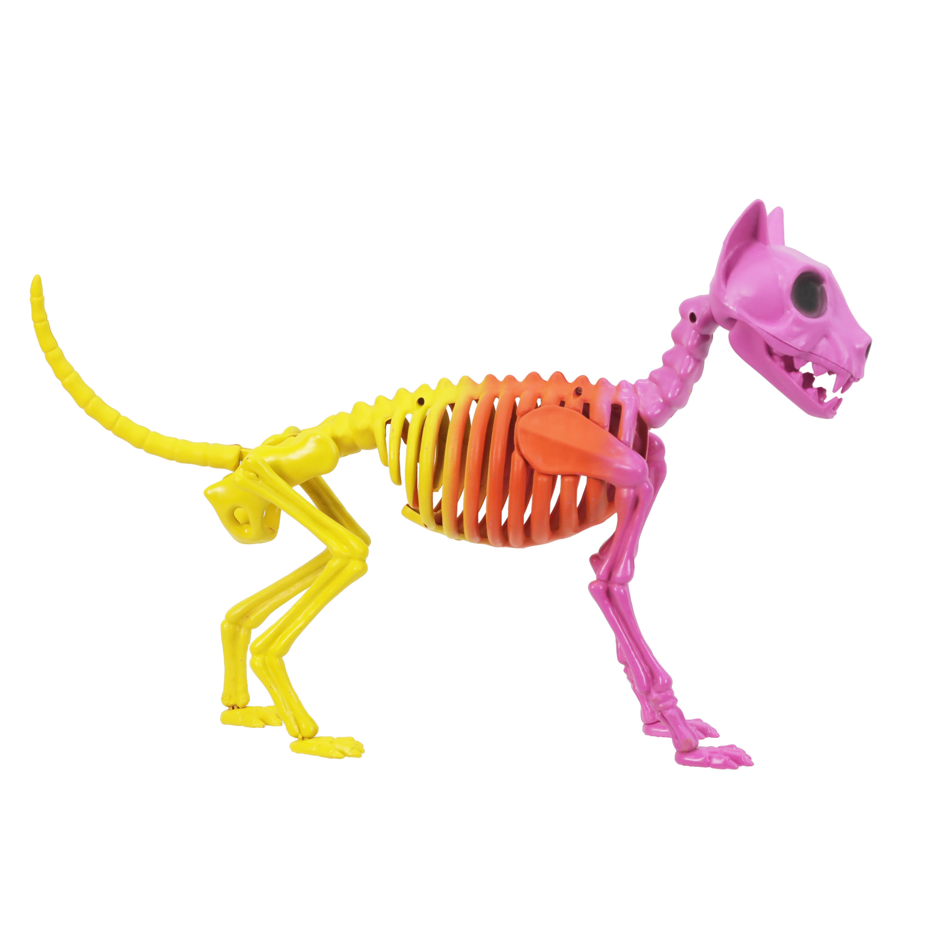 19.7&#x22; Pink, Orange &#x26; Yellow Skeleton Cat Decoration by Ashland&#xAE;