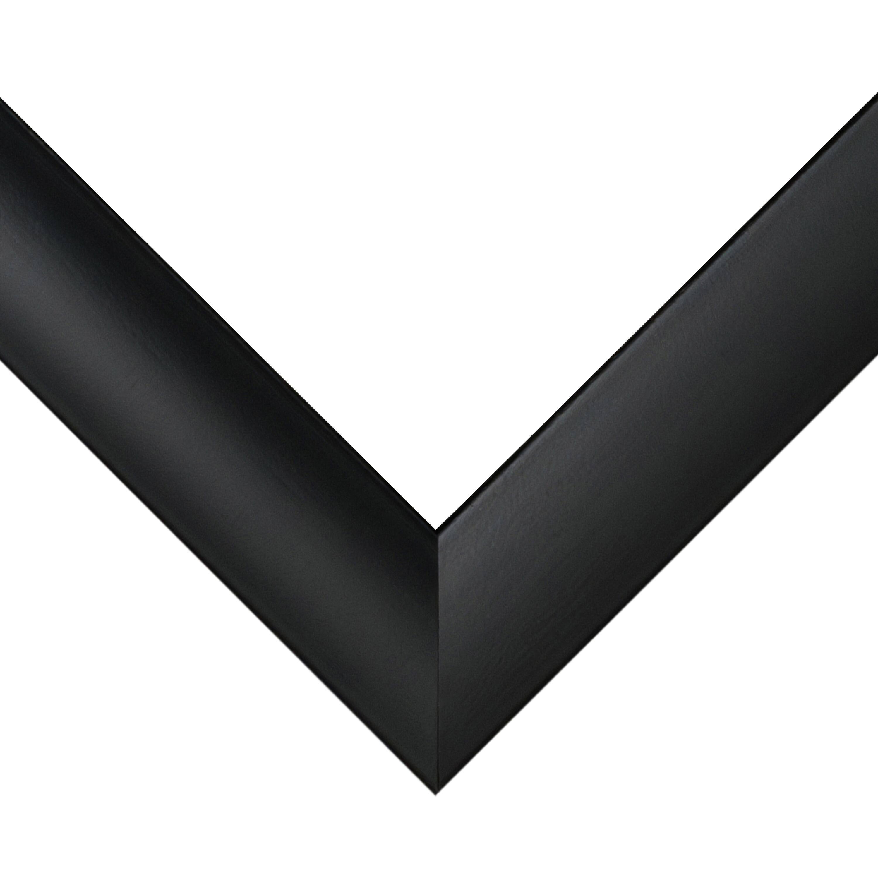 Frame USA Simply Poly Black Single Image Picture Frame