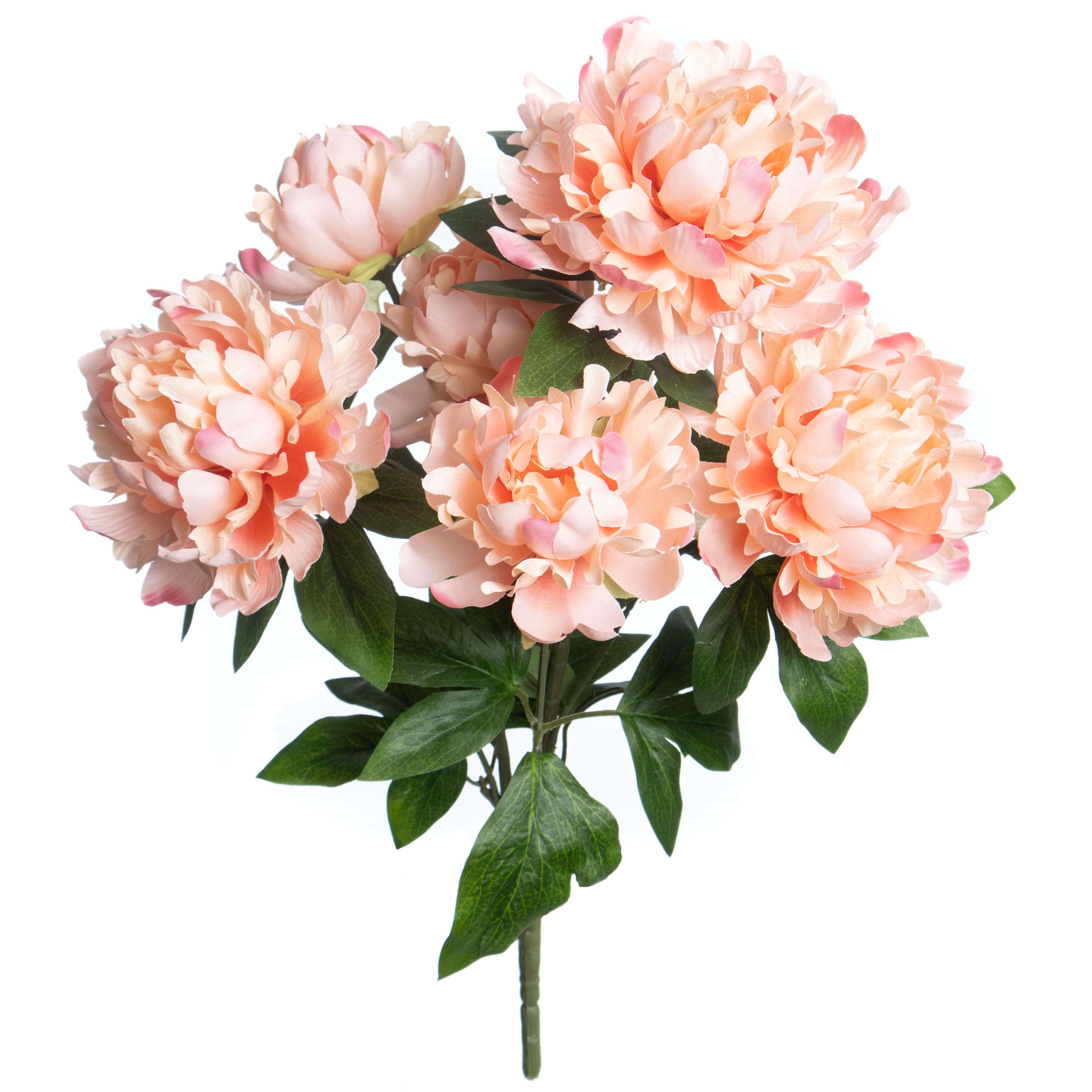 21&#x22; Peach Peony Deluxe Bush by Ashland&#xAE;