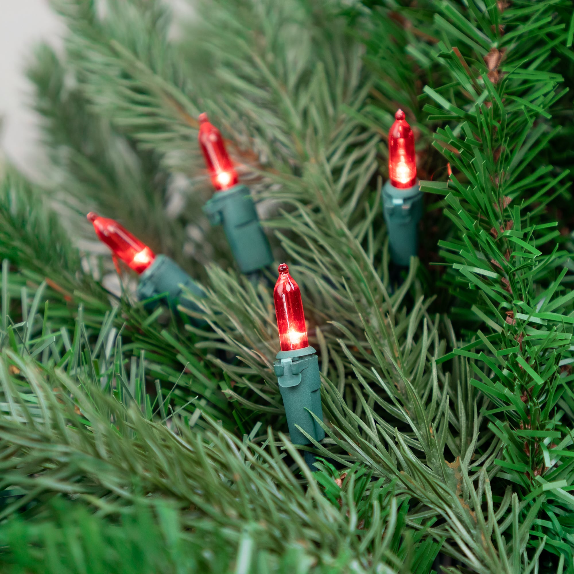 100ct. LED Mini Christmas Lights With Green Wire