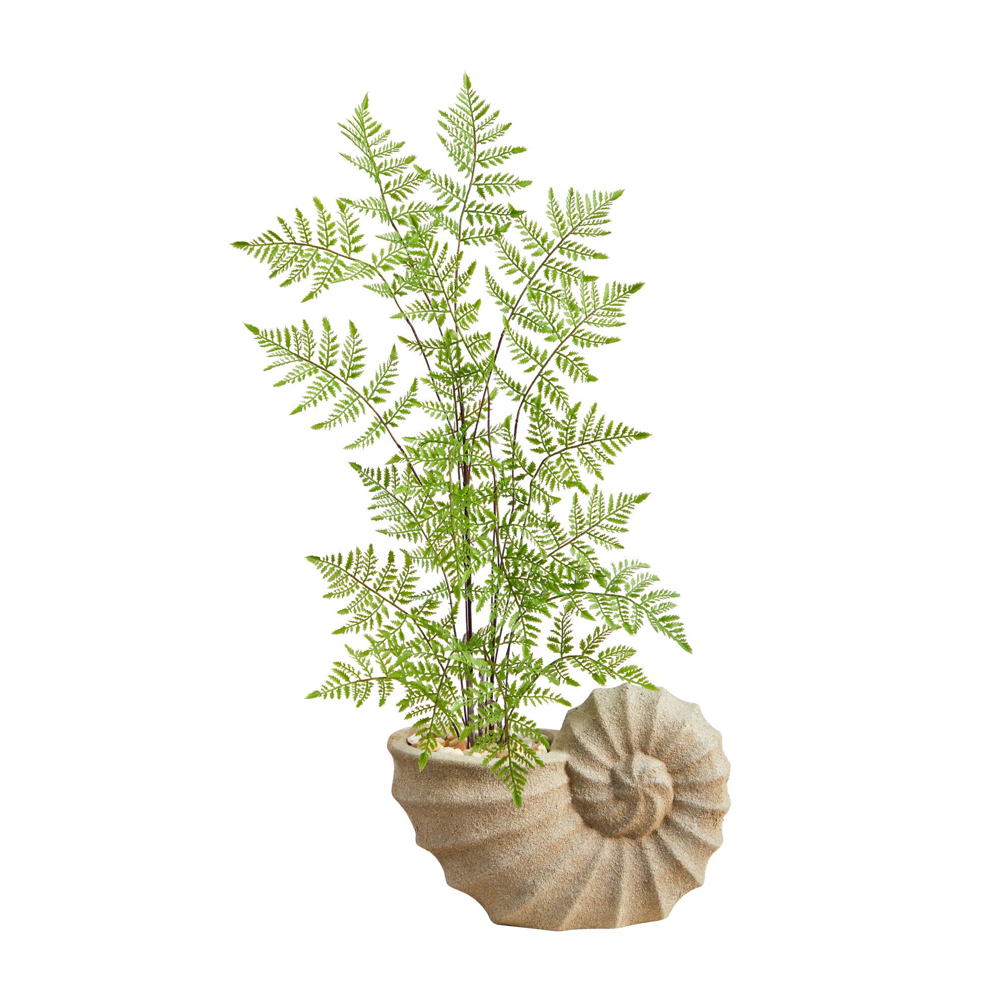 3ft. Ruffle Fern Artificial Tree in Shell Shaped Planter