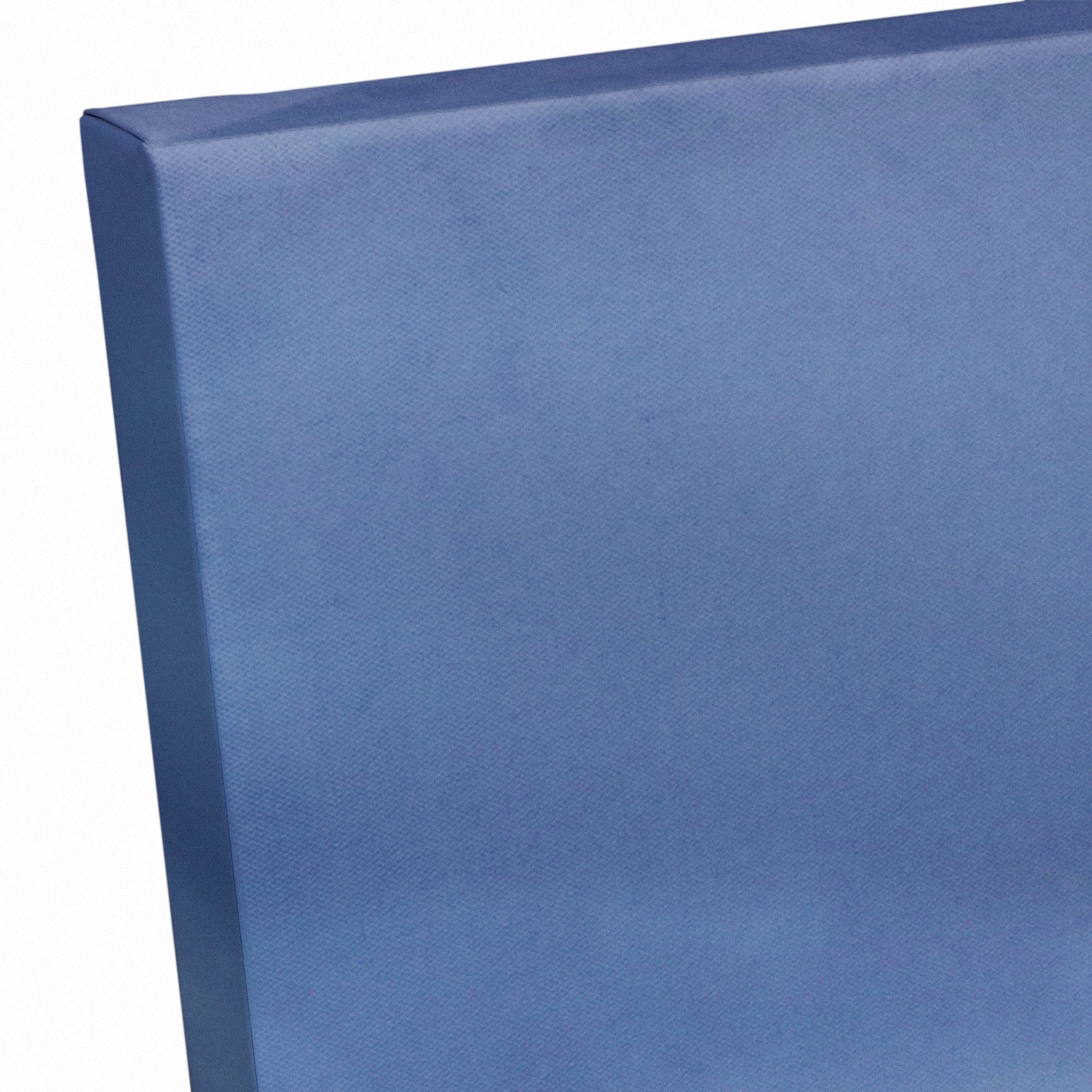 Field Of Cactus 20" x 16" Canvas Wall Art