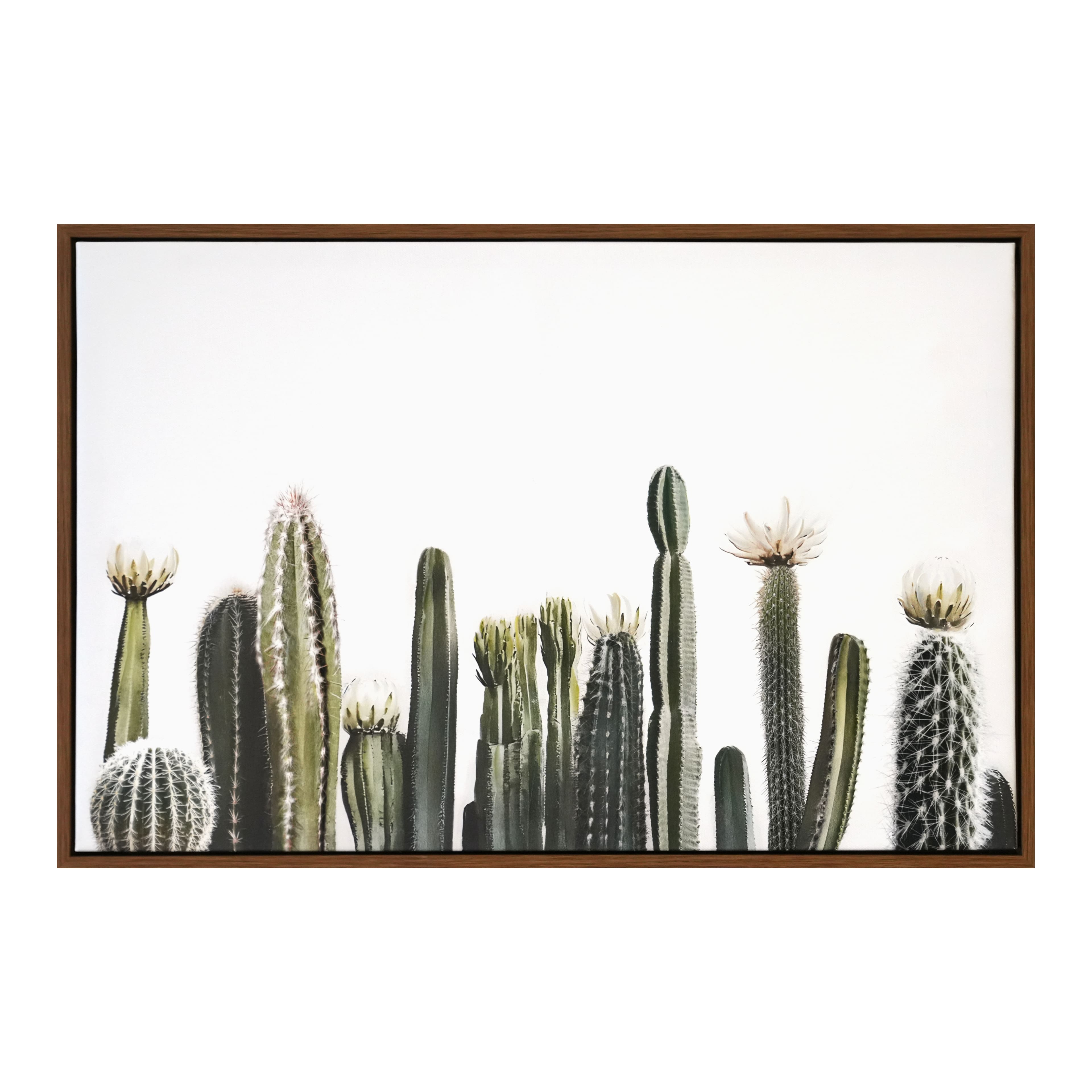 24&#x22; Cacti on White Background Wall Canvas by Ashland&#xAE;