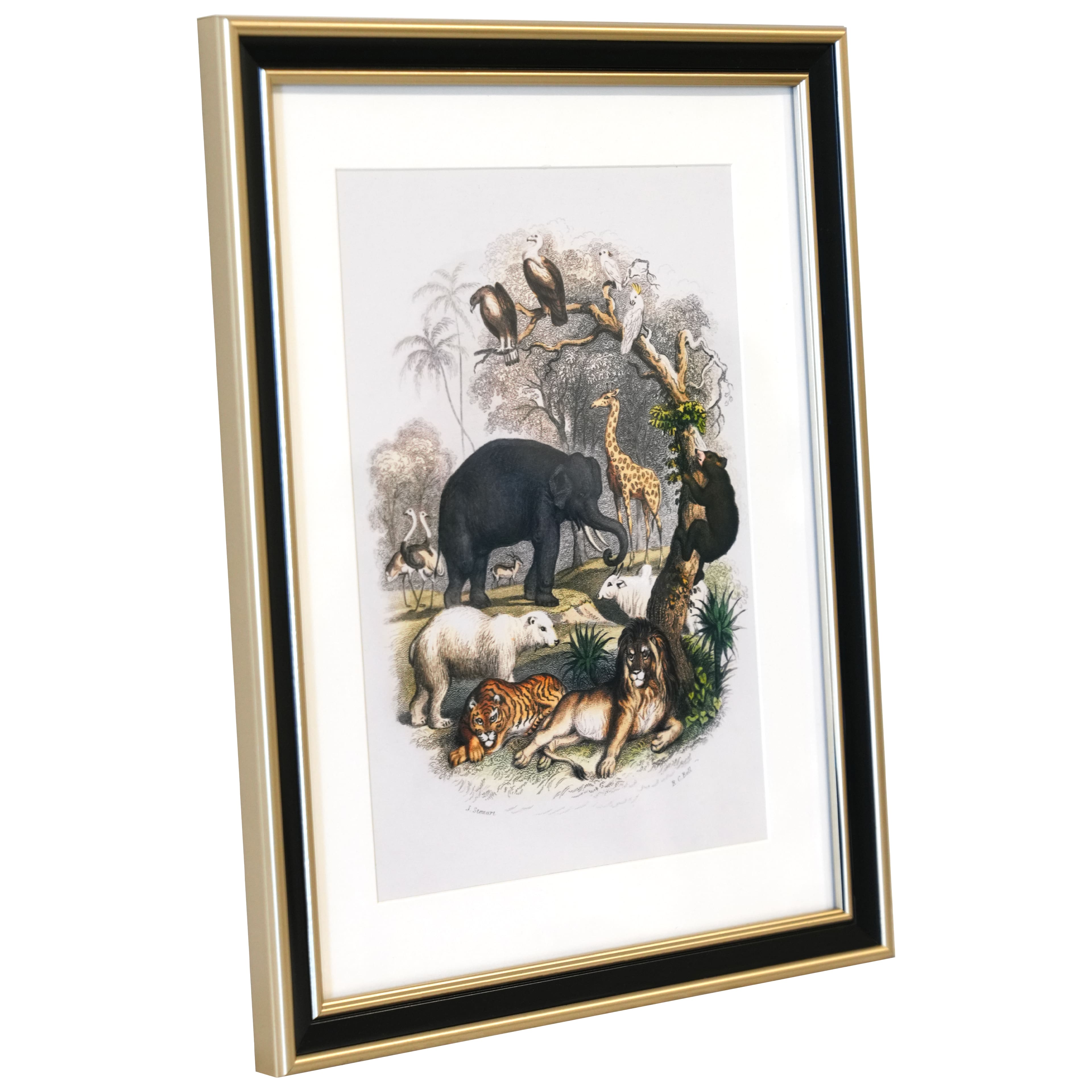 11&#x22; x 14&#x22; Safari Animals Print with White Mat Wall D&#xE9;cor by Ashland&#xAE;