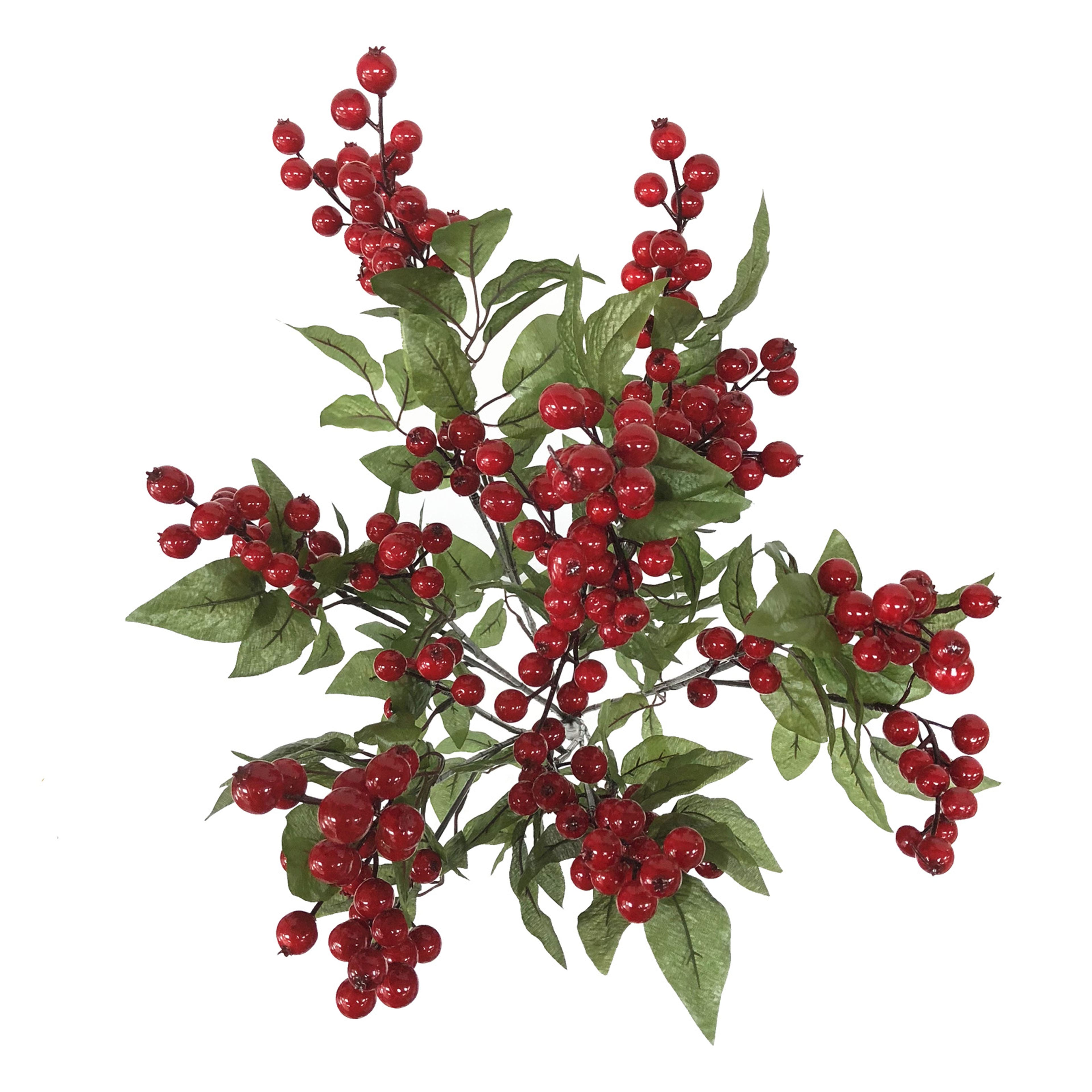 Red Cranberry Bush by Ashland&#xAE;