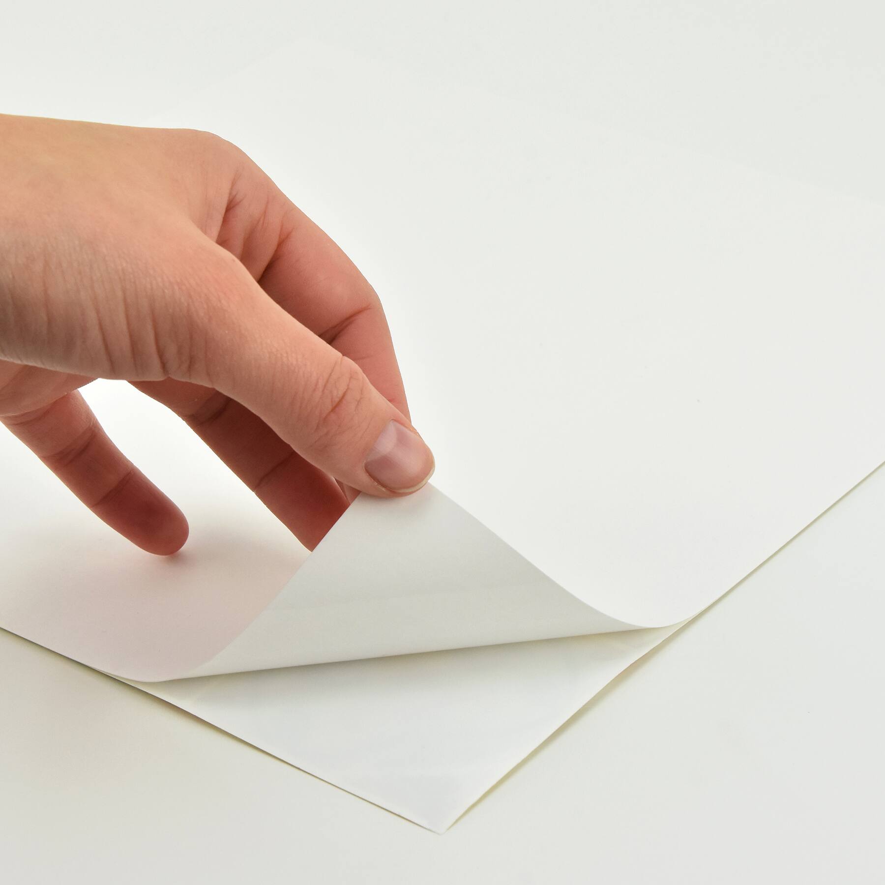 InHome Quatrefoil Peel & Stick Backsplash Tiles