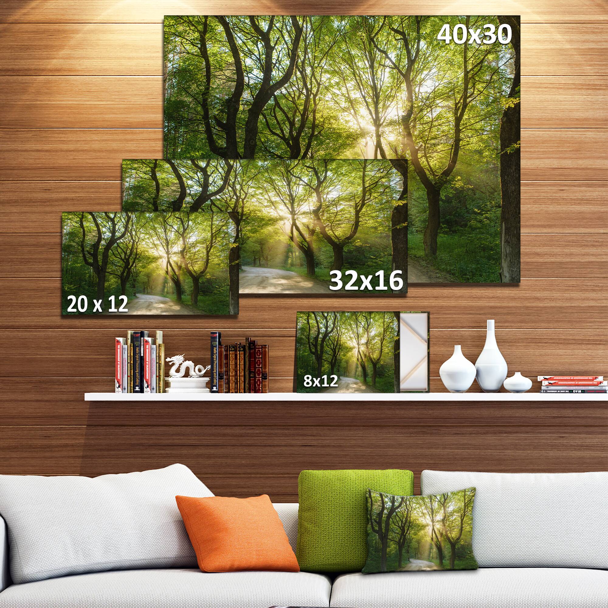 Designart - Evening in Green Forest - Landscape Canvas Art Print