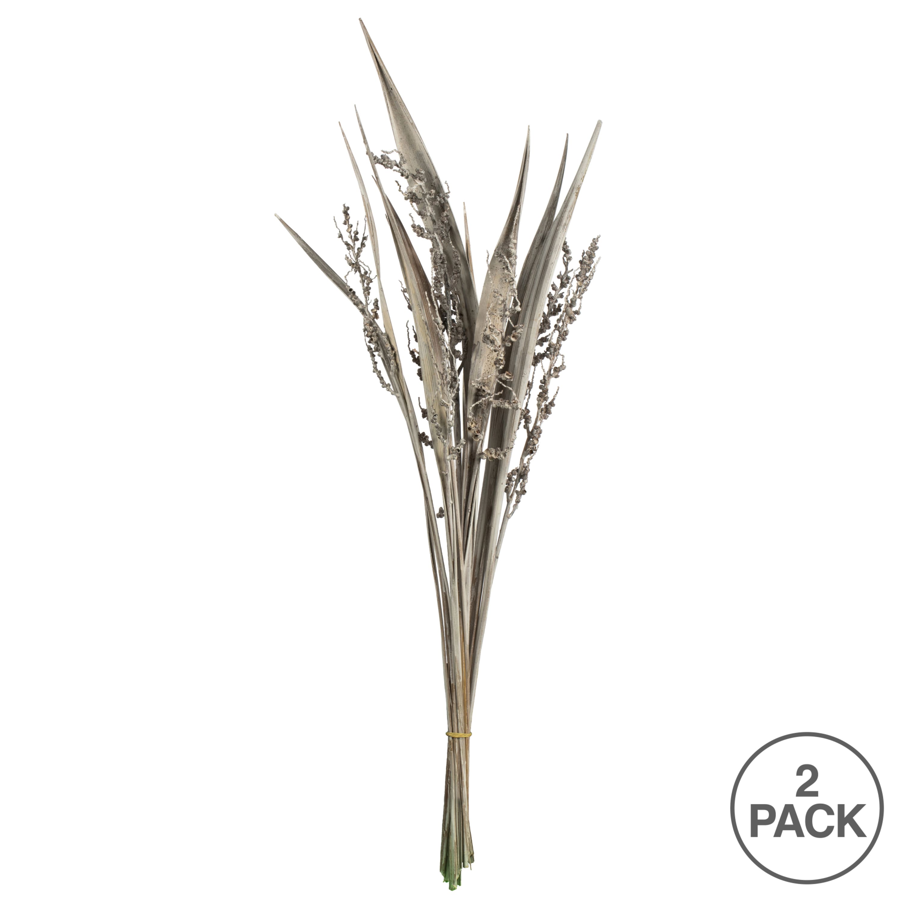 Dried White Wash Bahia Spears Bunch with Seeds, 2ct.