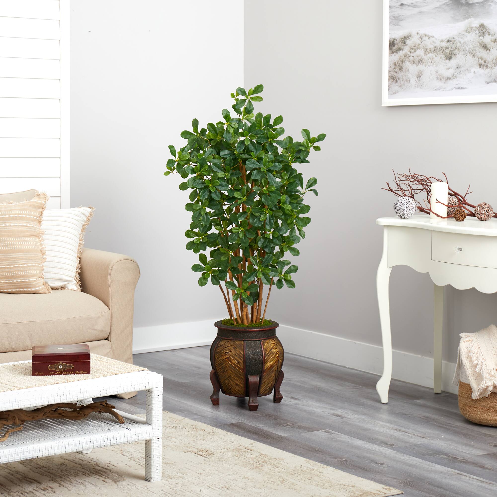 4.5ft. Black Olive Tree in Decorative Planter
