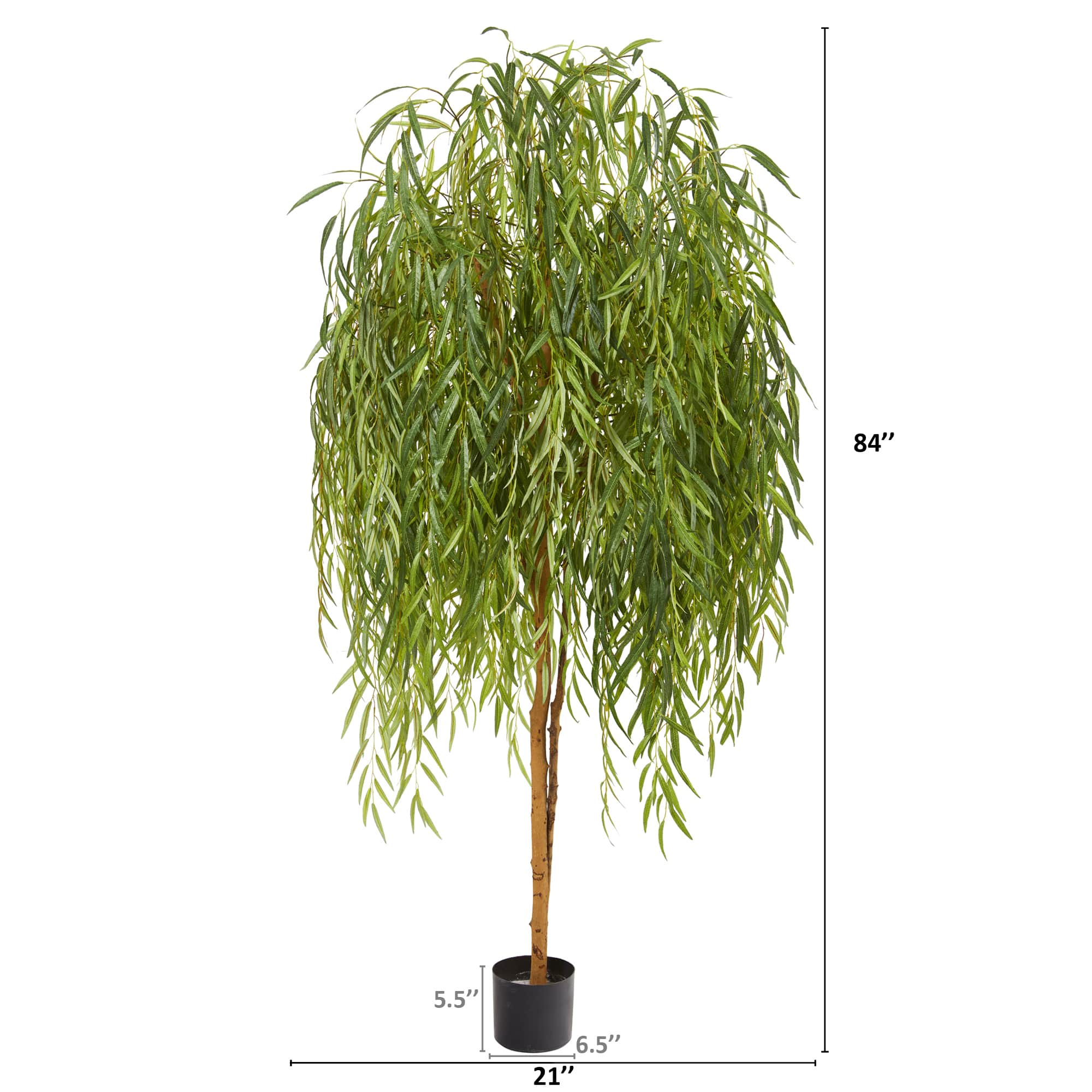 7ft. Potted Willow Tree