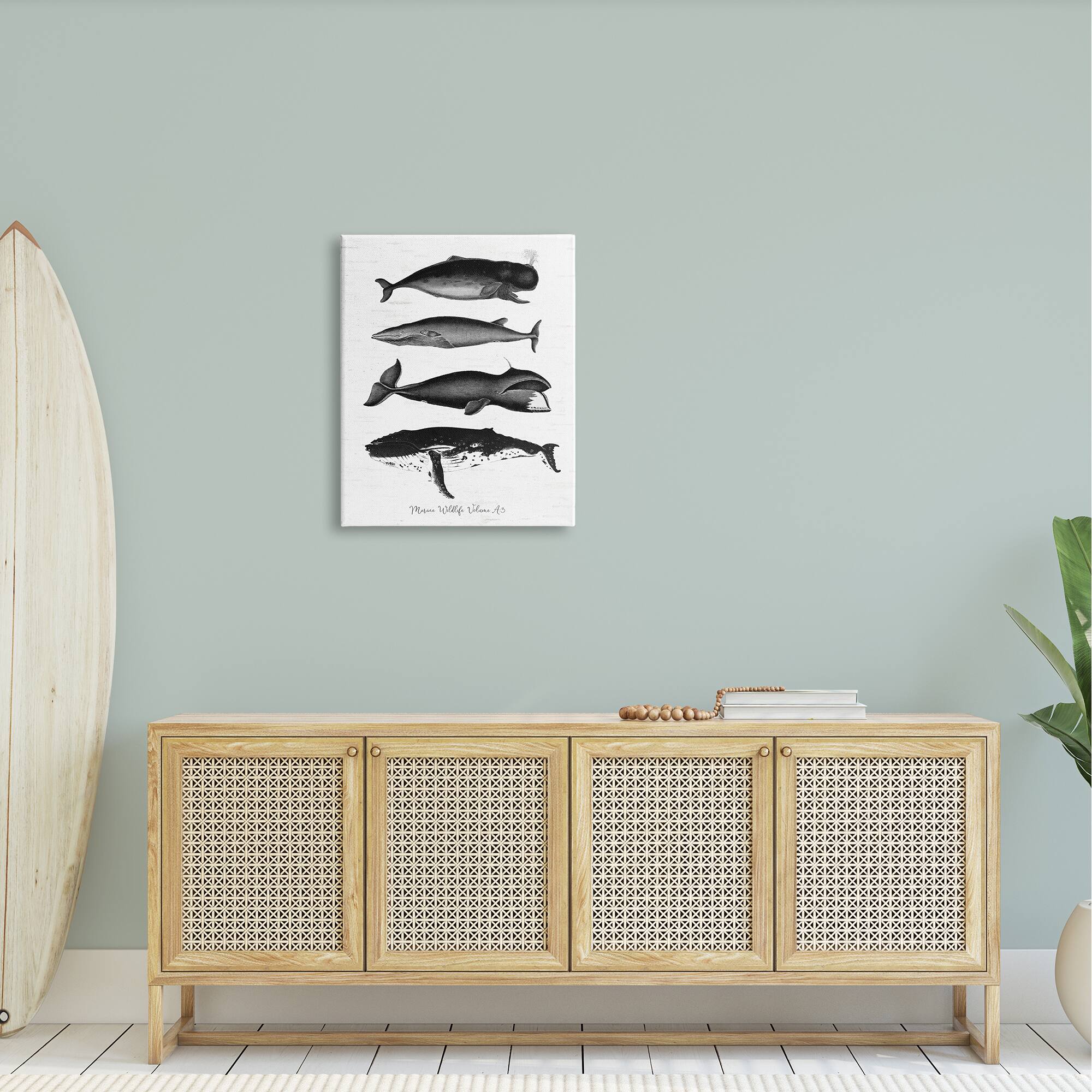 Stupell Industries Marine Wildlife Whales Drawings Diagram Canvas Wall Art